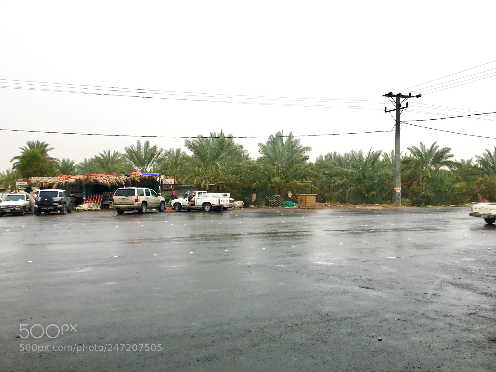 Apple iPhone 6s sample photo. Untitled photography