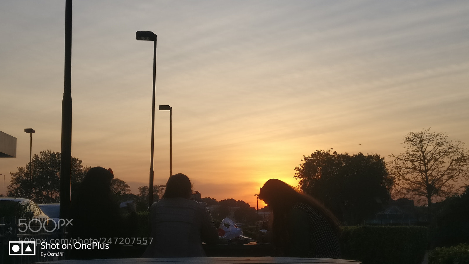 OnePlus A3000 sample photo. Winter sunset photography