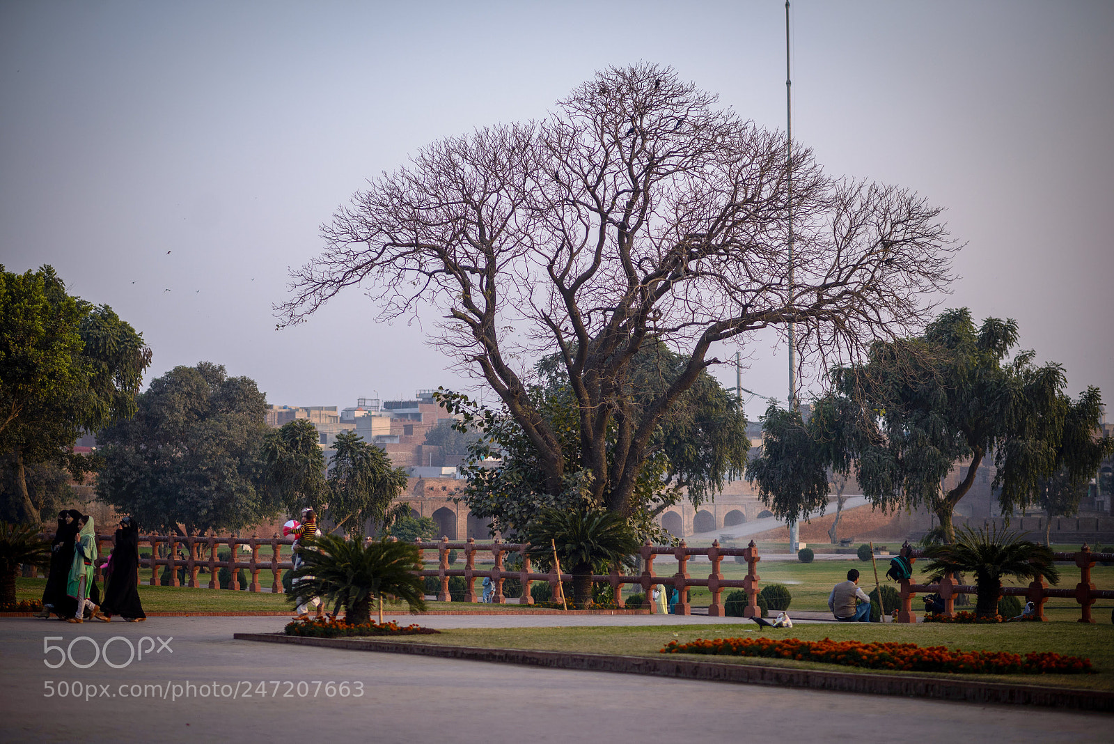 Nikon D610 sample photo. Inside lahore fort. photography