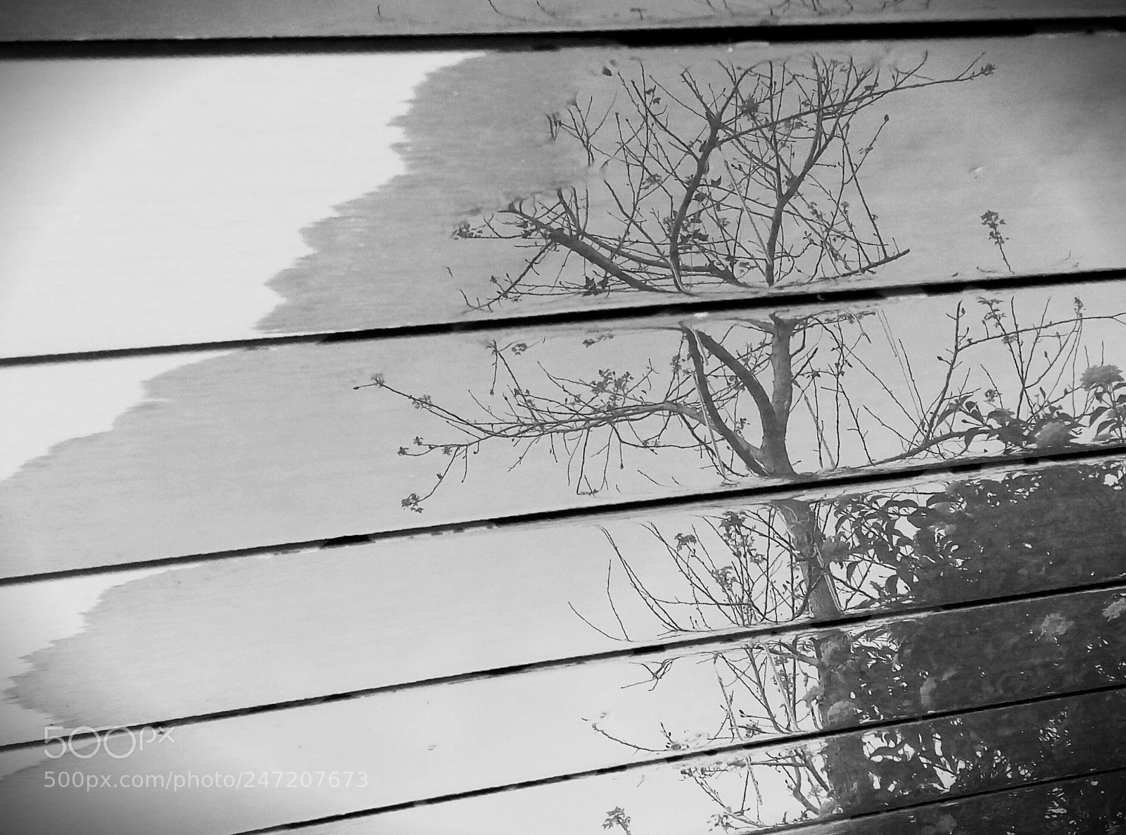 HTC D728X sample photo. The reflection on the photography