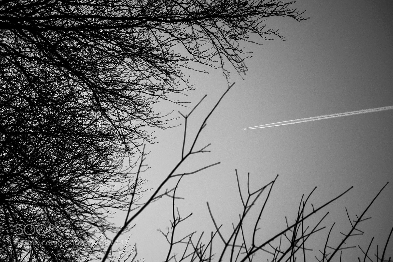 Nikon D5200 sample photo. B&w composition photography