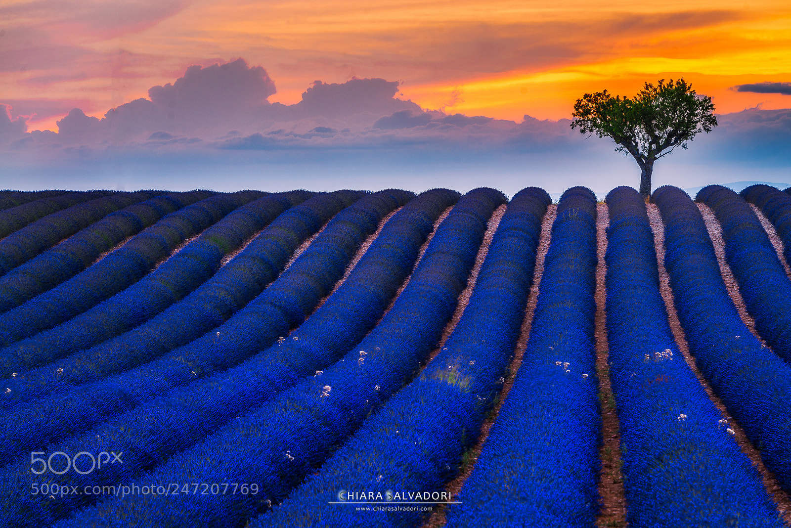 Nikon D800 sample photo. Sunset in valensole photography
