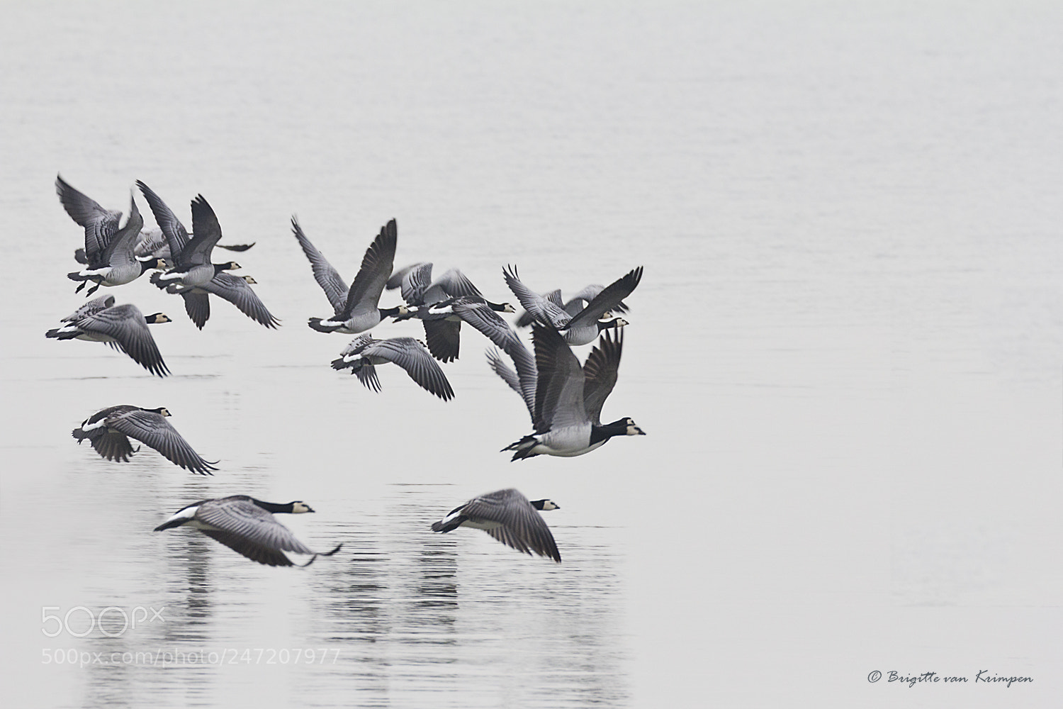 Canon EOS 60D sample photo. 15 shades of grey photography