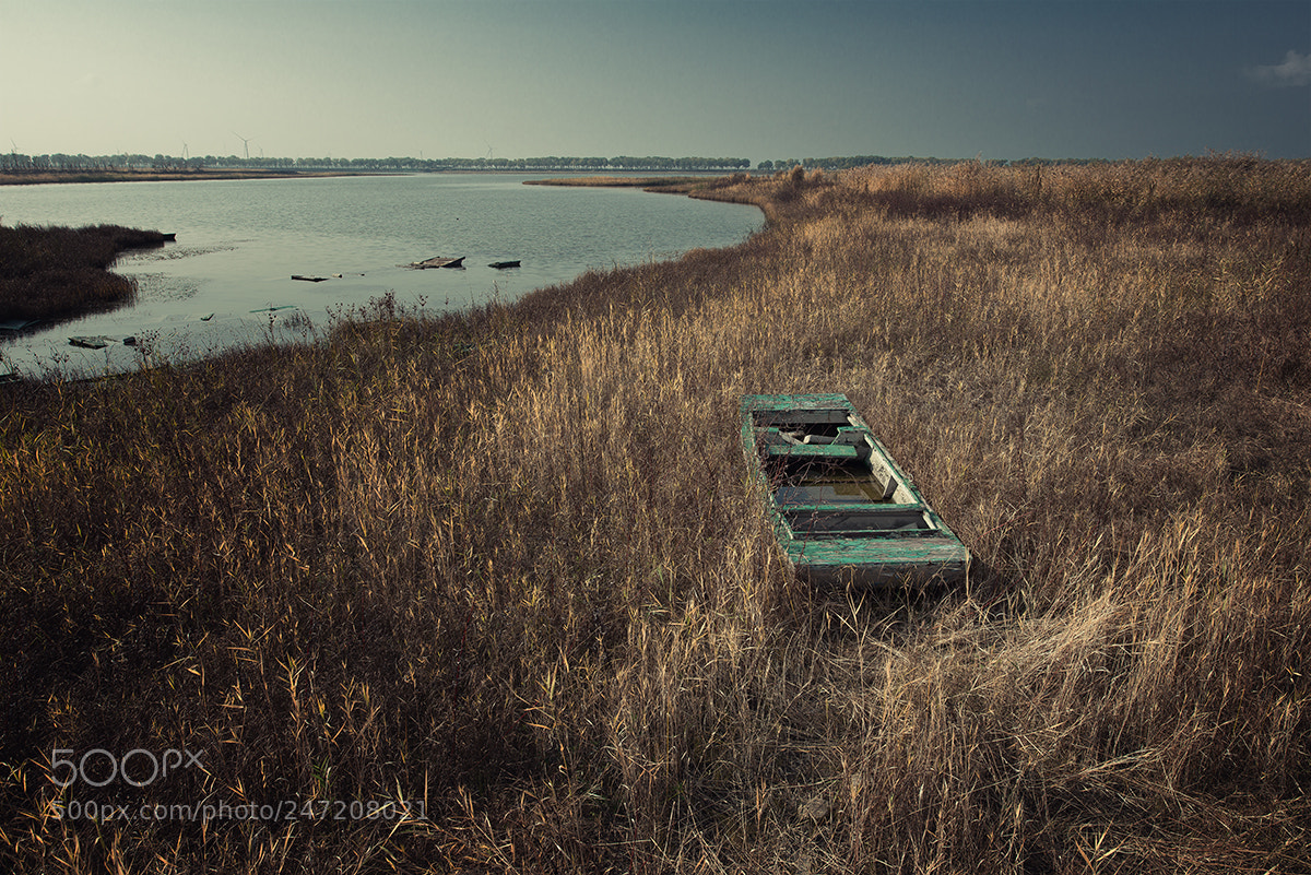 Nikon D800E sample photo. A old boat photography