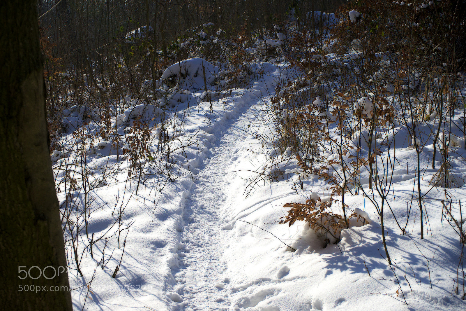 Sony a7 sample photo. Snow road photography
