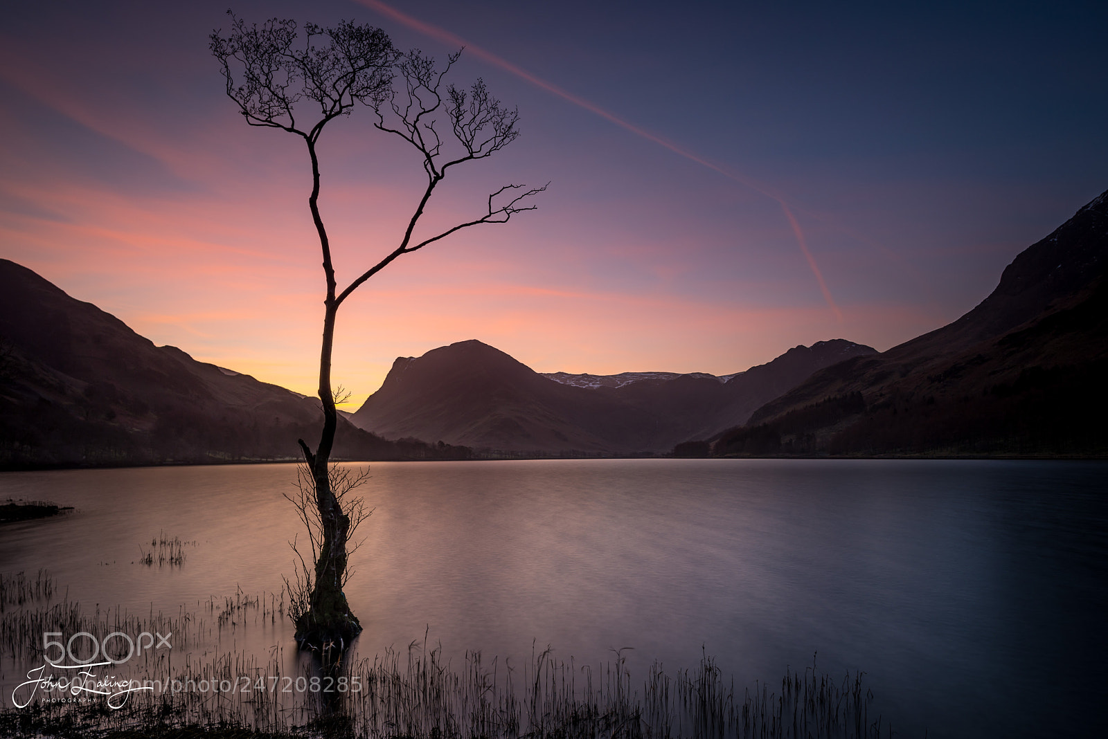 Nikon D800 sample photo. Lone tree photography