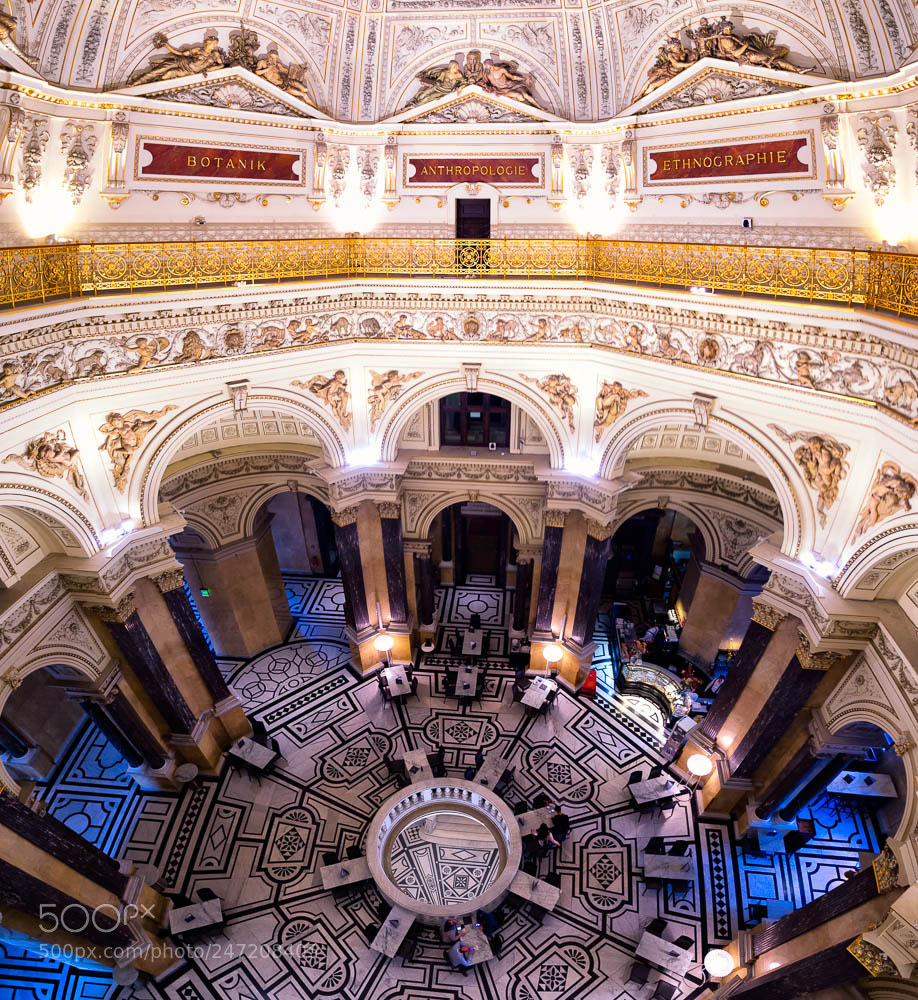 Nikon Df sample photo. Vienna 39 photography