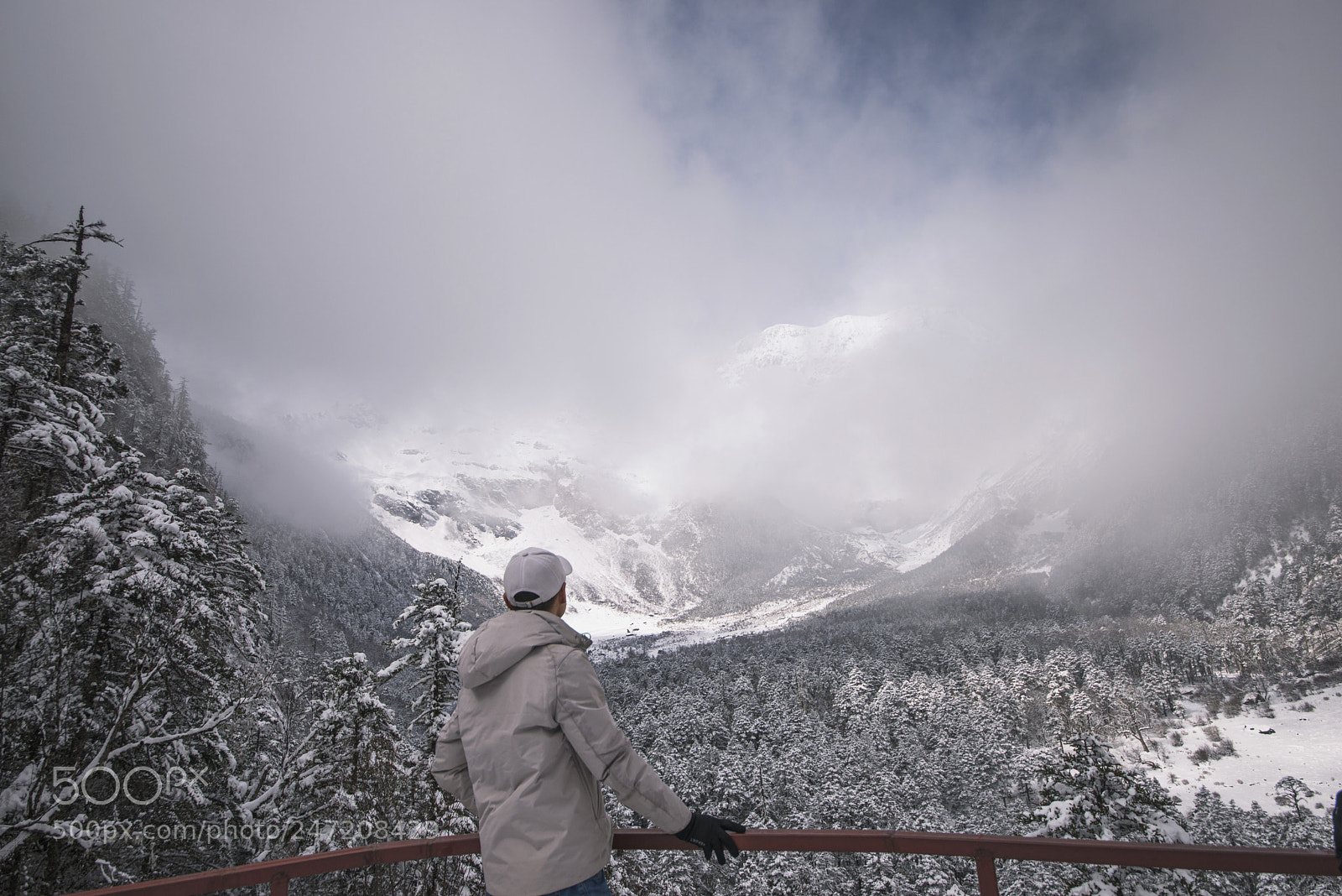 Nikon D800 sample photo. Snow photography