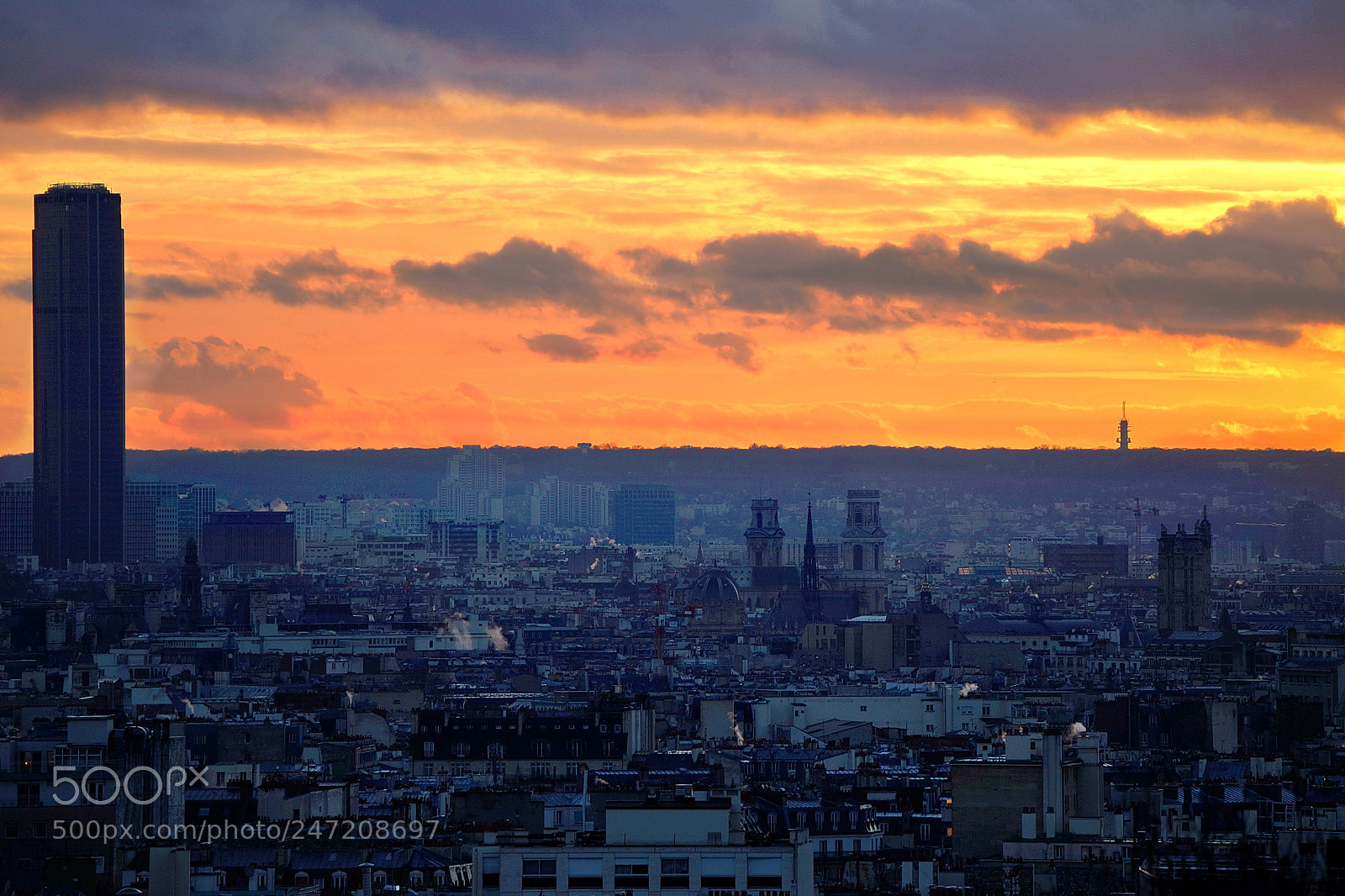 Sony SLT-A99V sample photo. Paris from jardins de photography
