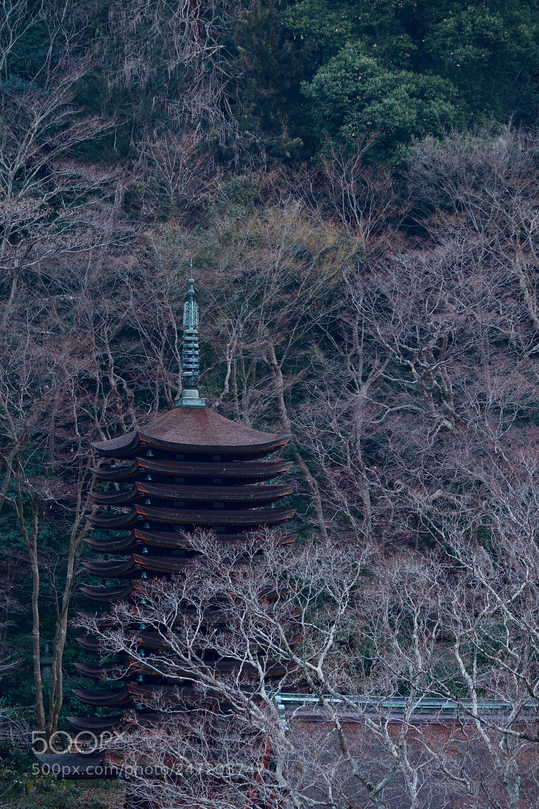 Fujifilm X-T2 sample photo. Old shrine photography