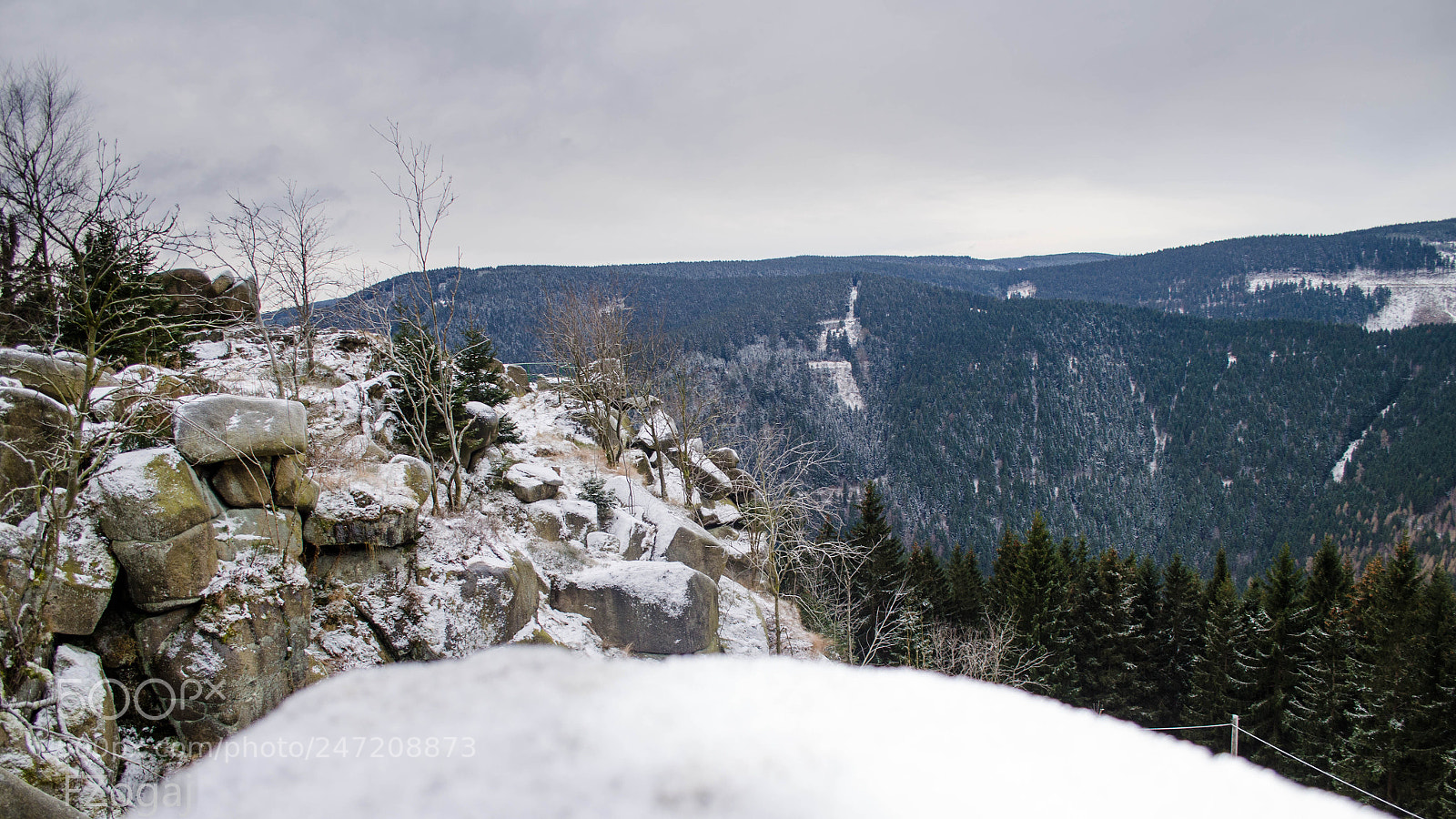 Nikon D5100 sample photo. Harz photography