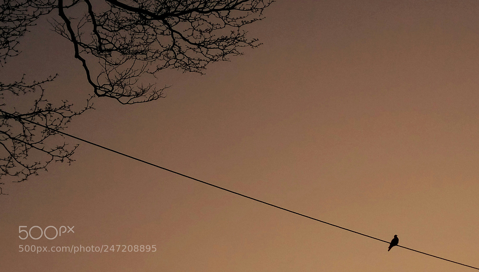 HTC D728X sample photo. Alone in the dusk photography