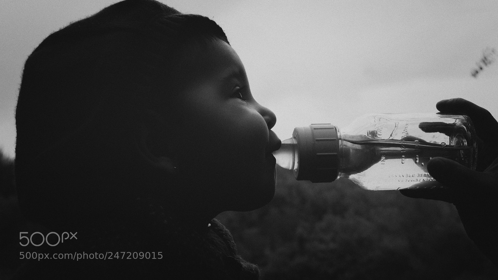 Nikon D5000 sample photo. Sed photography
