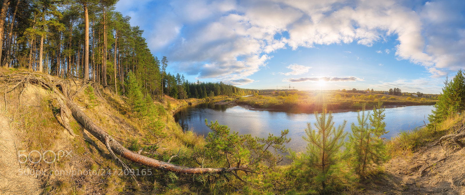 Nikon D610 sample photo. 856. on the autumn photography