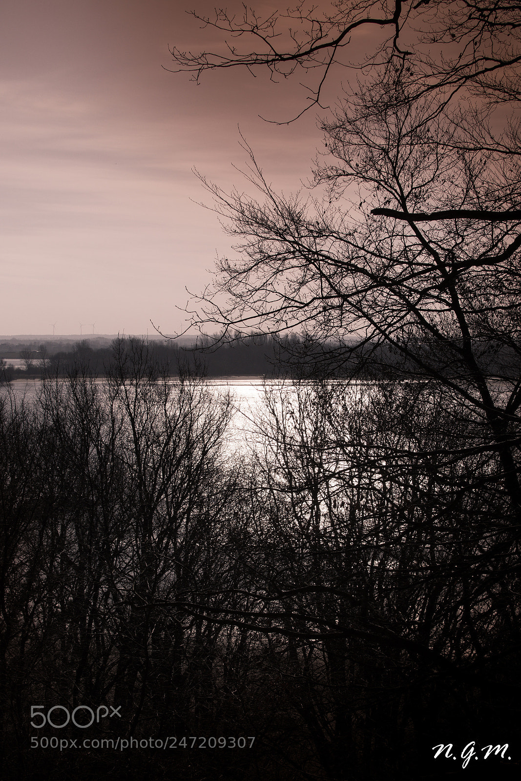 Nikon D7200 sample photo. Elbliebe photography
