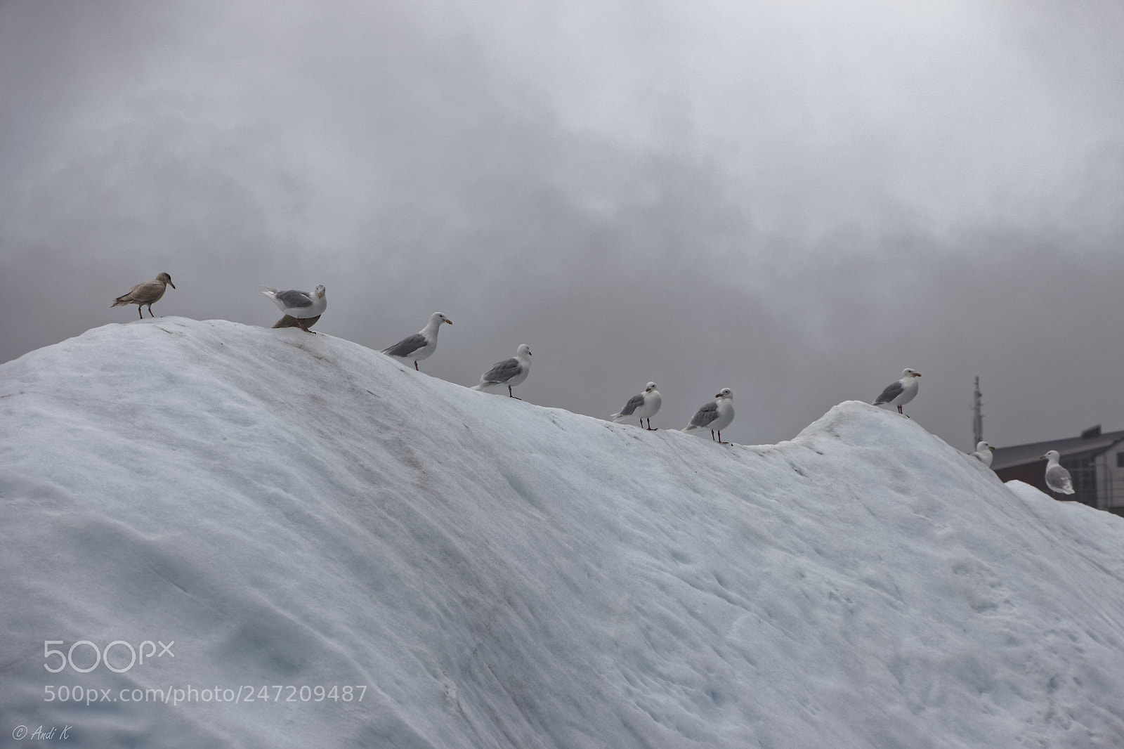 Canon EOS 700D (EOS Rebel T5i / EOS Kiss X7i) sample photo. Ilulissat, greenland photography
