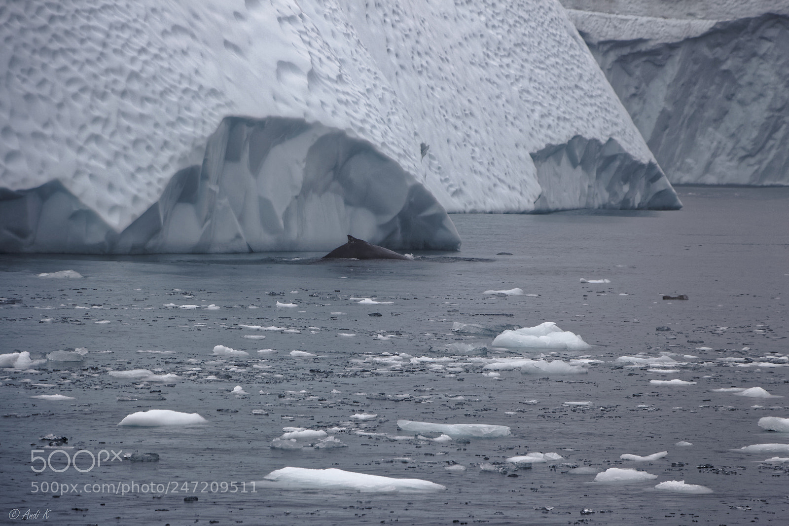 Canon EOS 700D (EOS Rebel T5i / EOS Kiss X7i) sample photo. Ilulissat, greenland photography