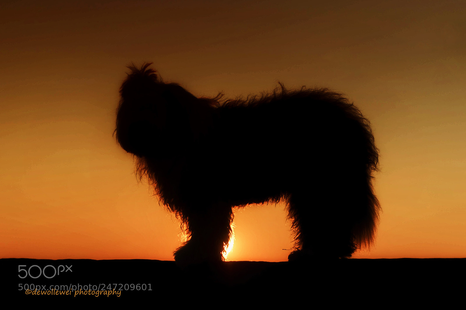 Canon EOS 7D Mark II sample photo. Scarlett's sunset photography