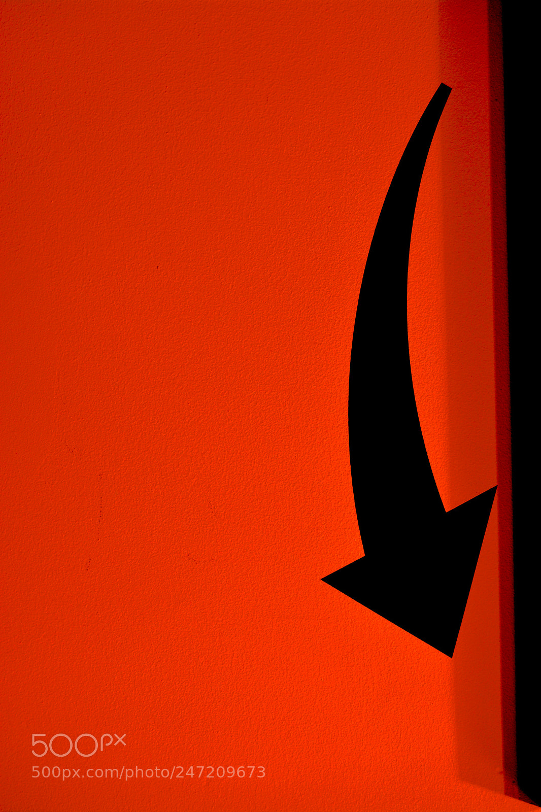 Nikon D5200 sample photo. Form photography