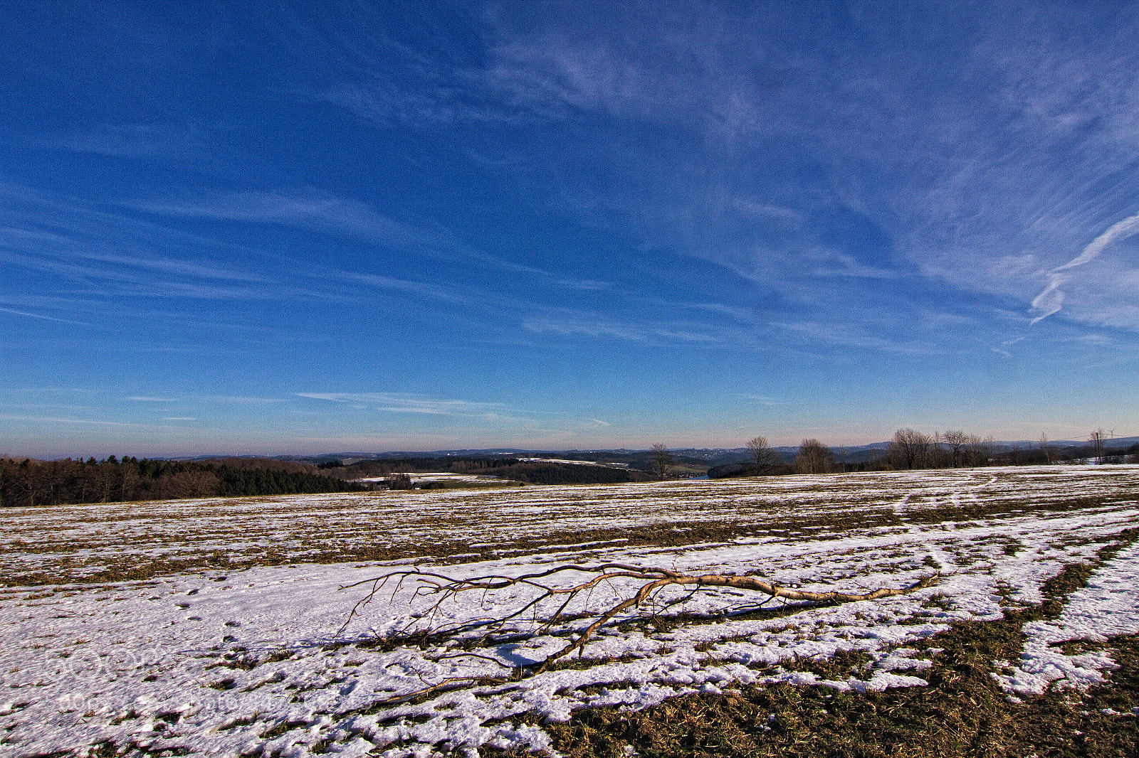 Canon EOS 7D sample photo. End of winter photography