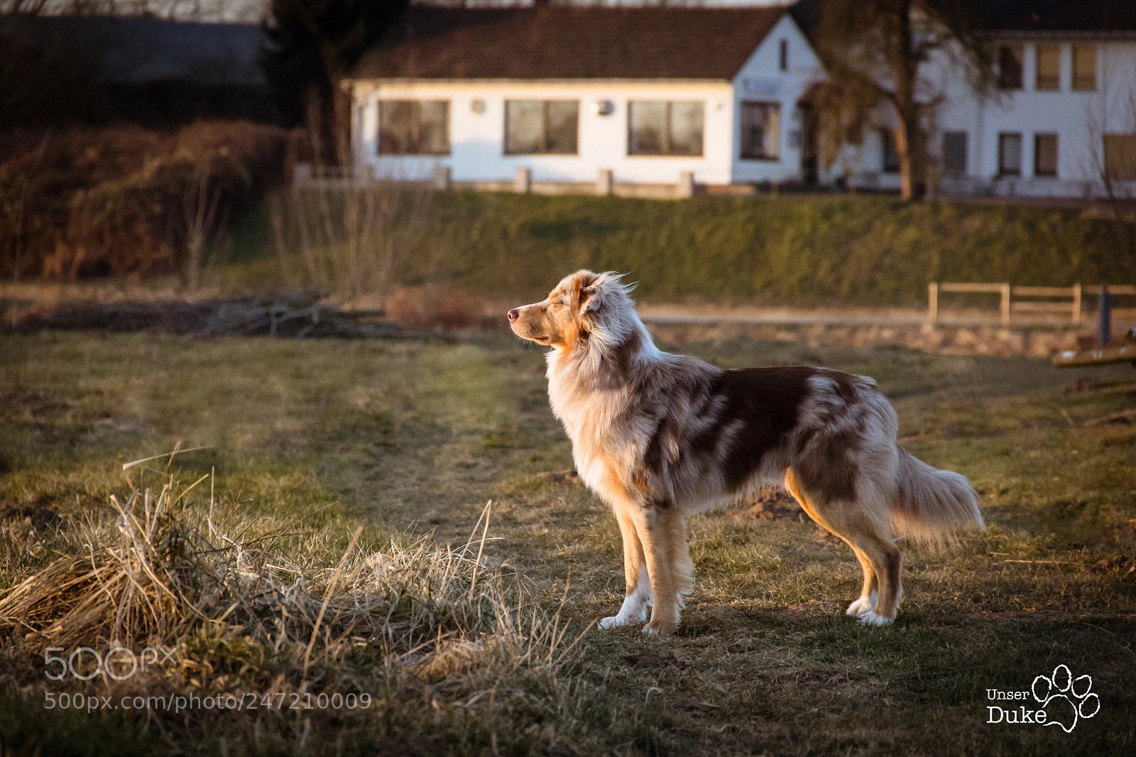 Canon EOS 60D sample photo. Am weserbogen photography