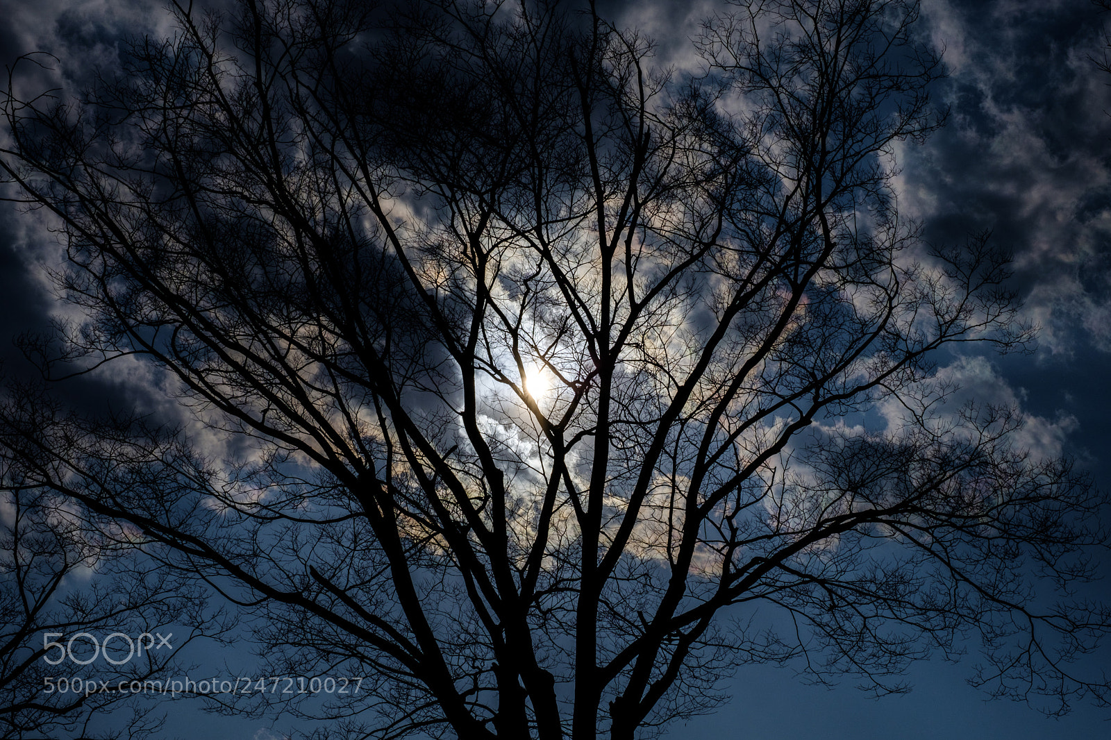 Fujifilm X-T2 sample photo. Untitled photography