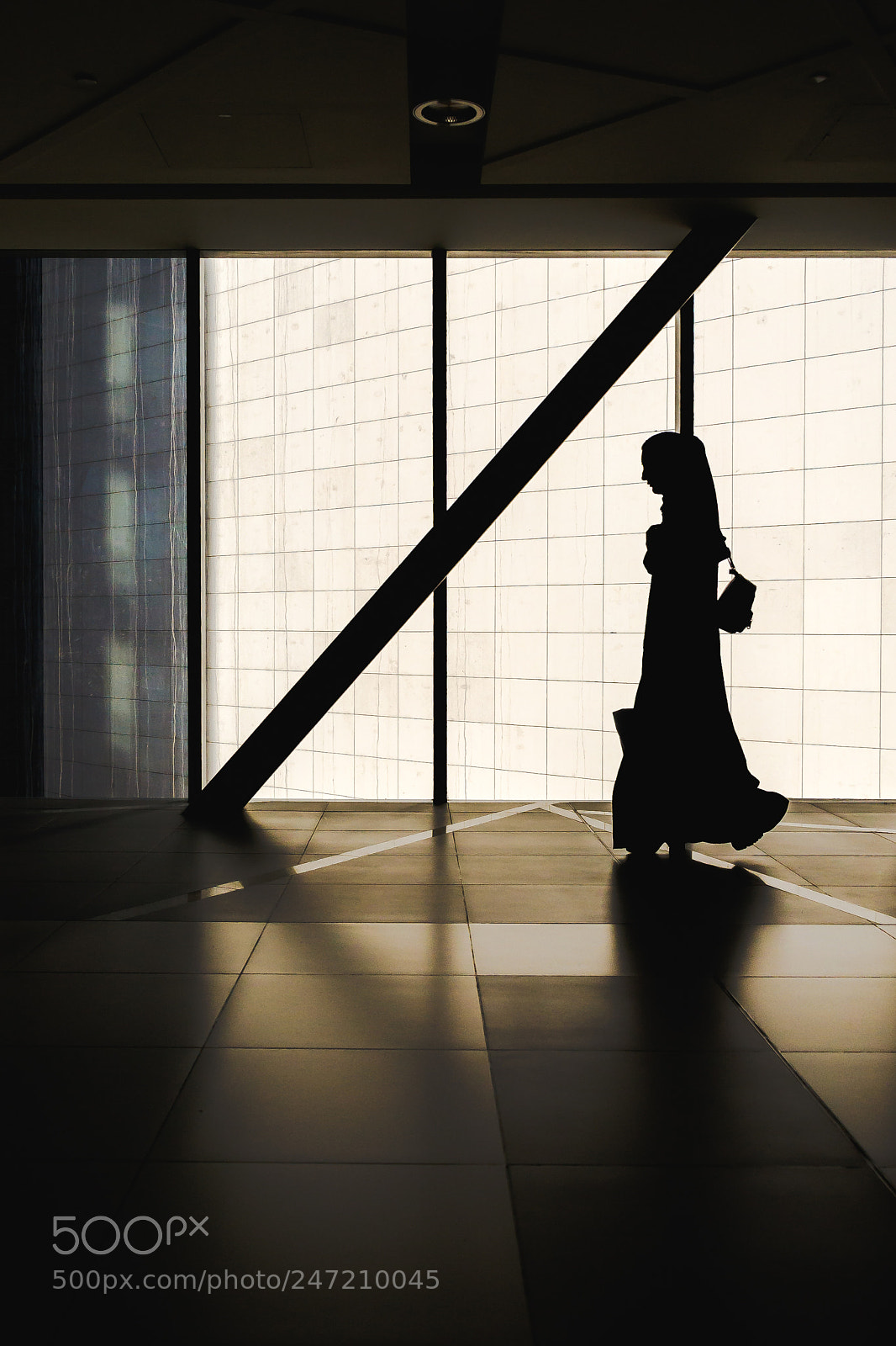 Nikon D3100 sample photo. Hunting shadows photography