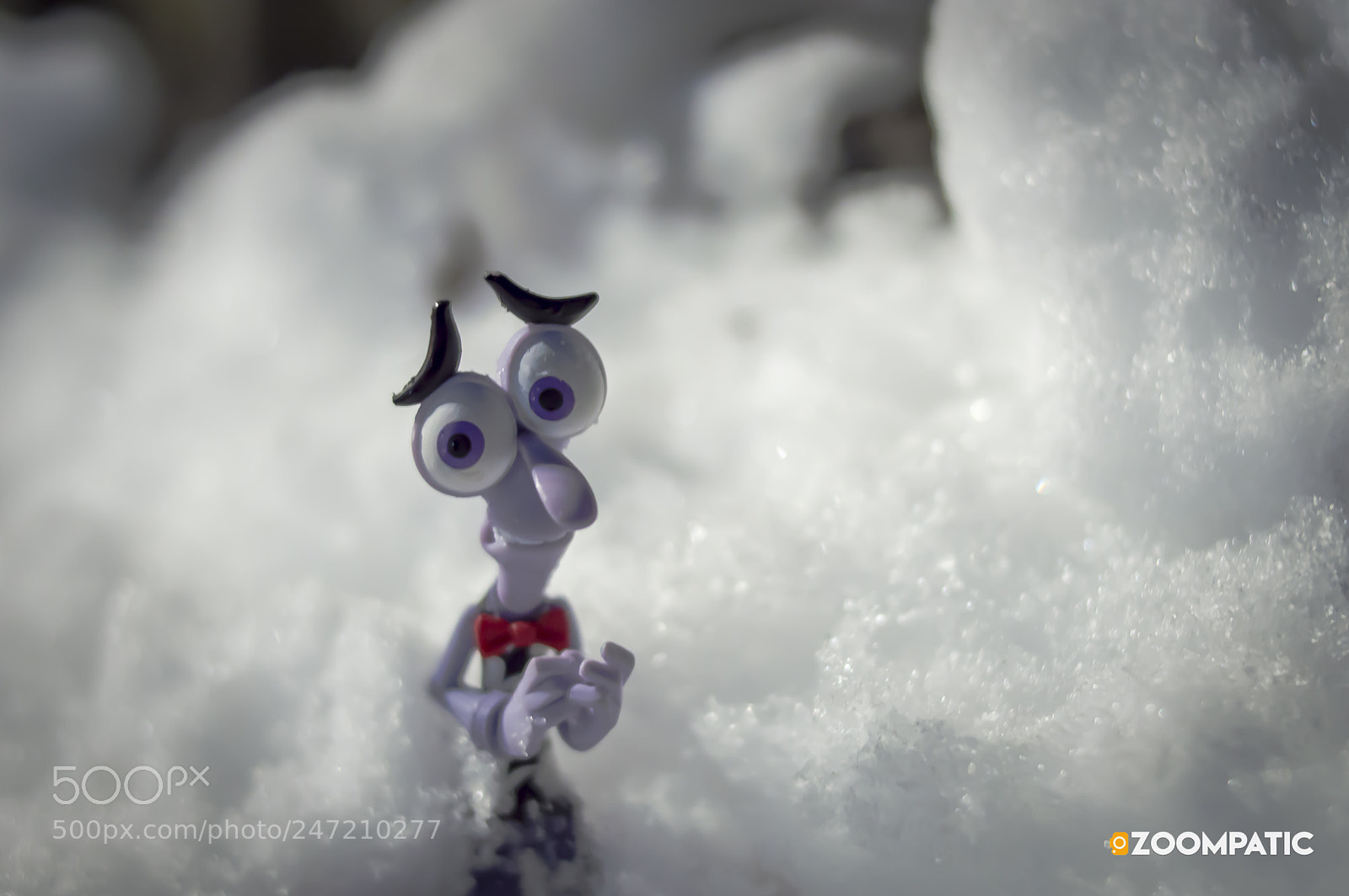 Nikon D3200 sample photo. Fear in snow photography