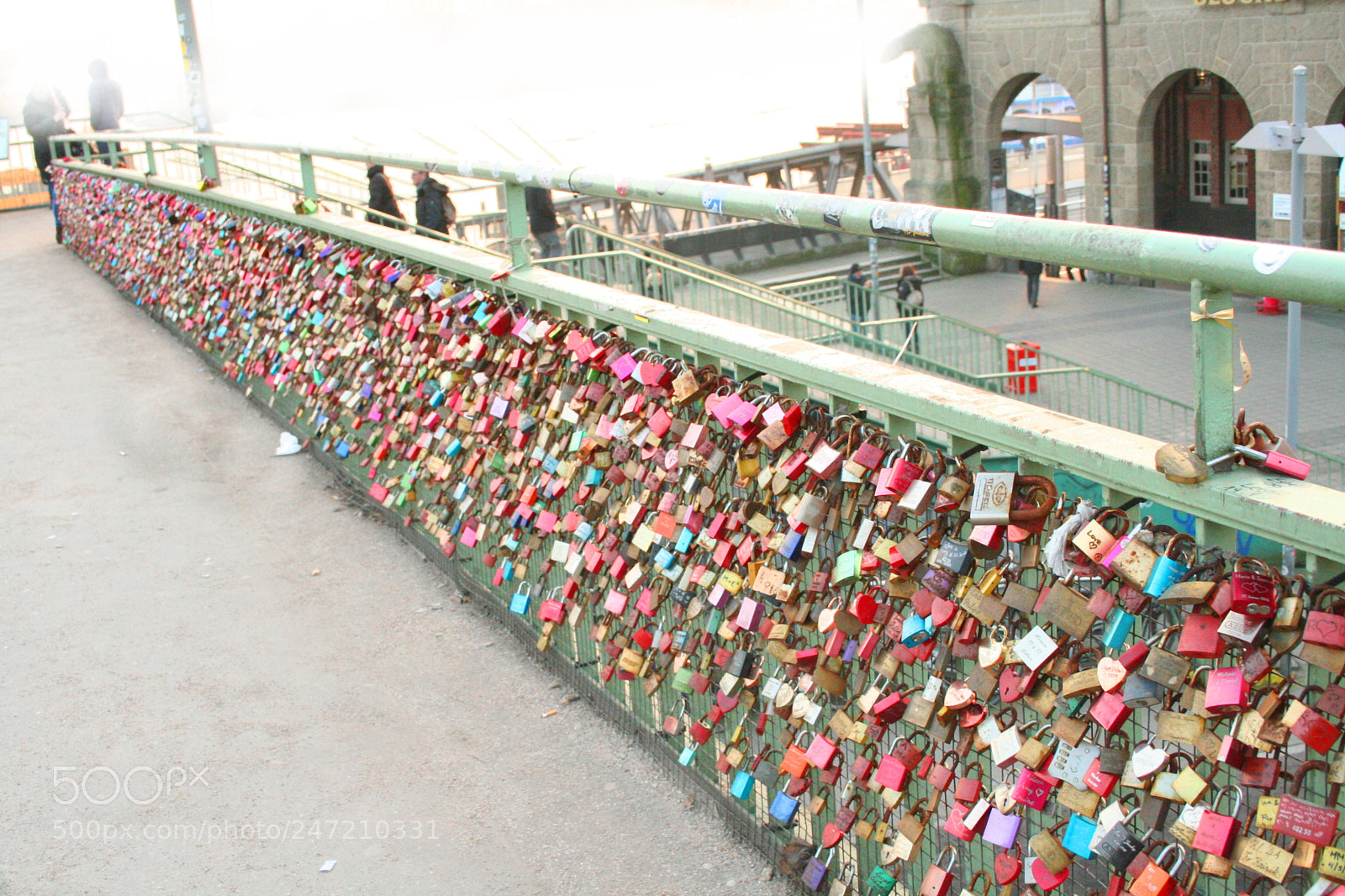 Canon EOS 350D (EOS Digital Rebel XT / EOS Kiss Digital N) sample photo. Lovelock photography