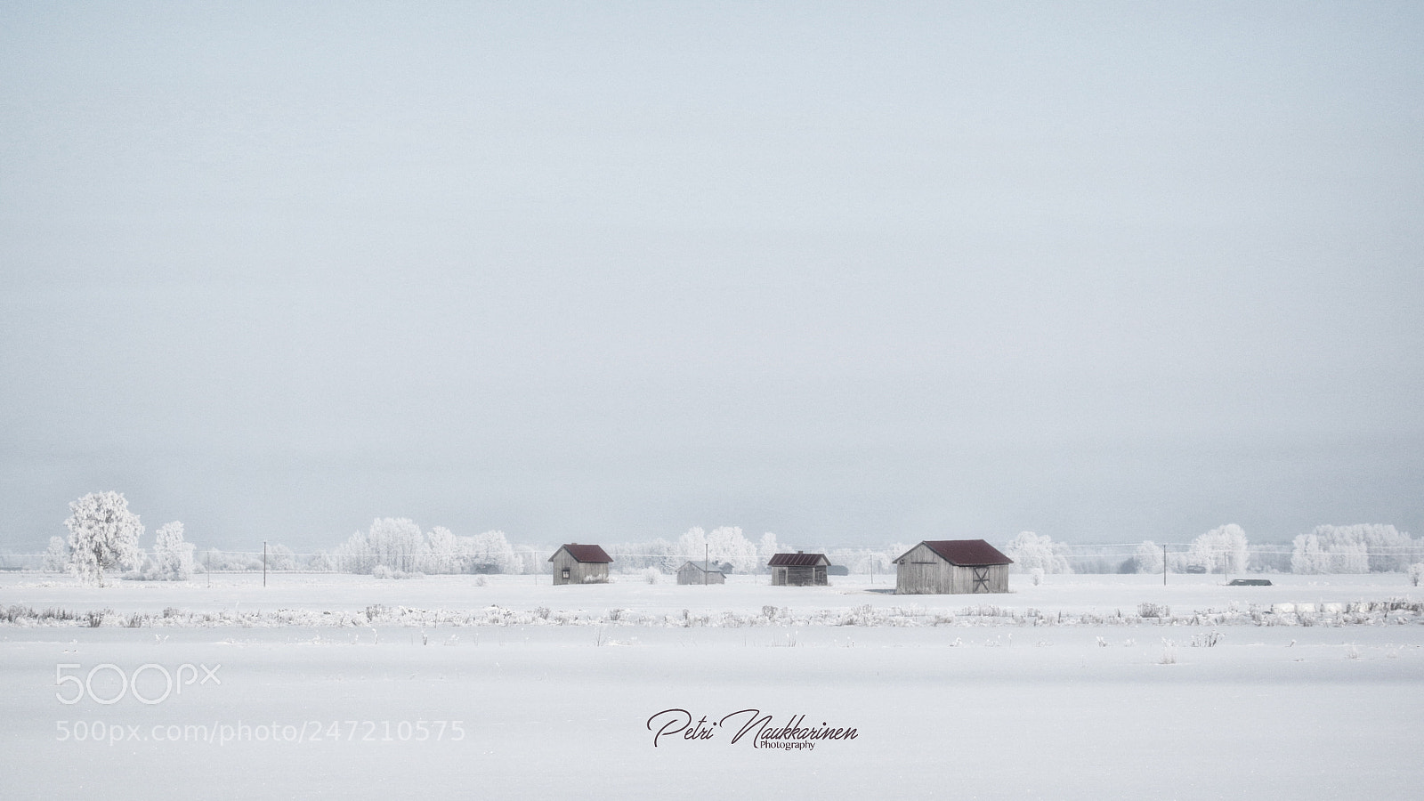 Canon EOS 7D Mark II sample photo. Cold photography