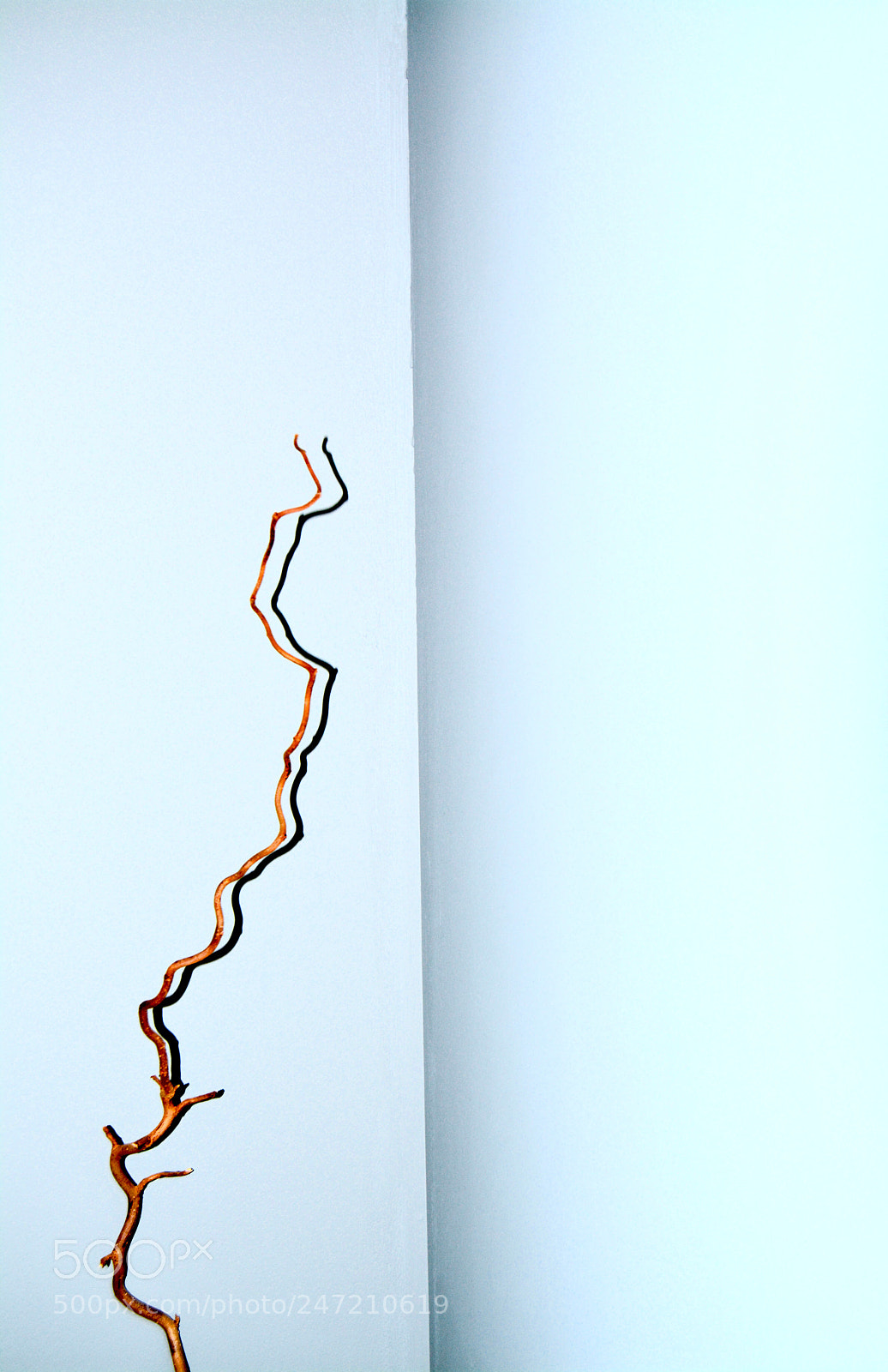 Nikon D5200 sample photo. Broken line photography