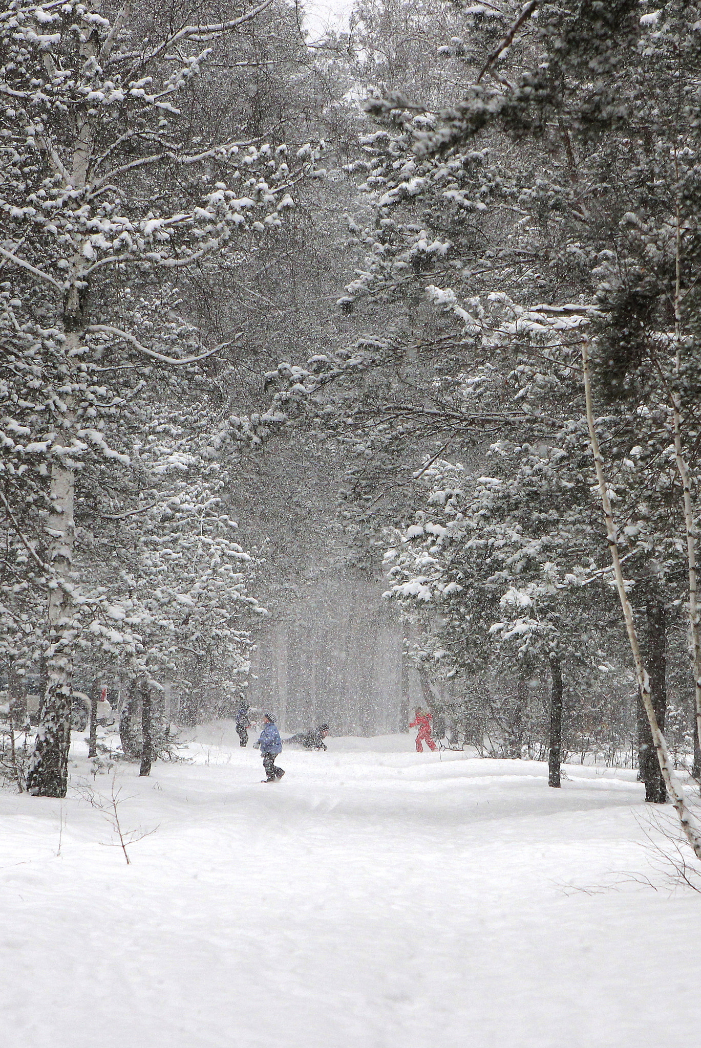 Canon EF 24-70mm F2.8L USM sample photo. Winter in ukraine photography
