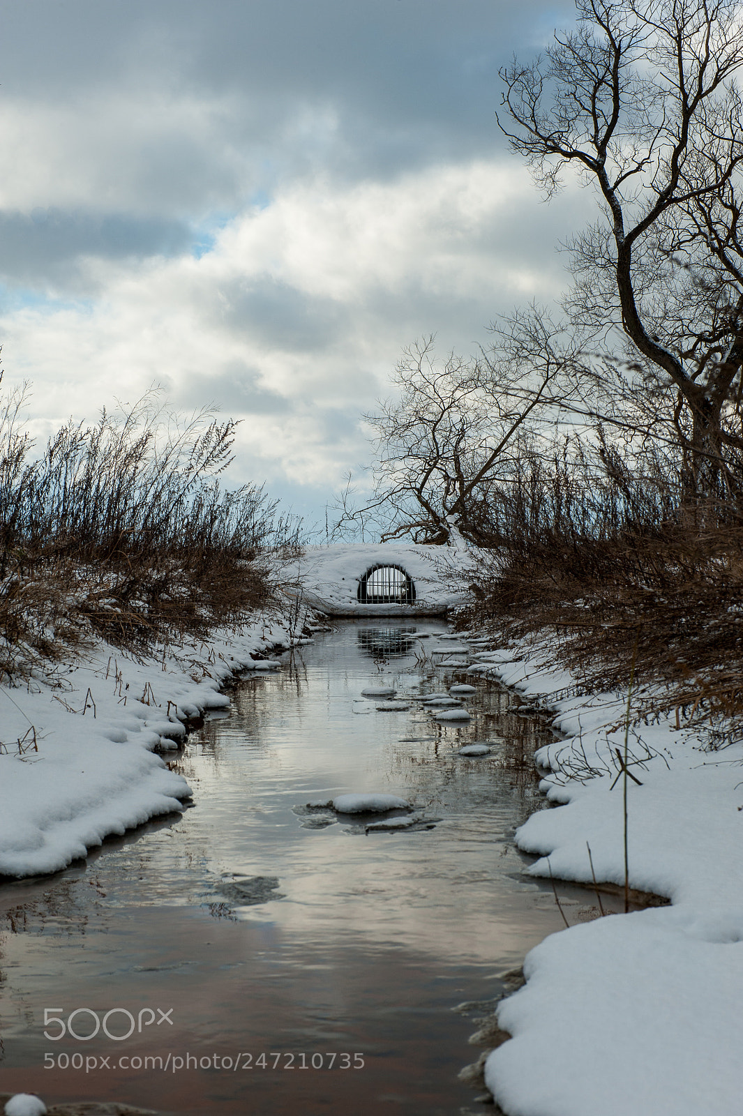 Nikon D3 sample photo. Stream photography