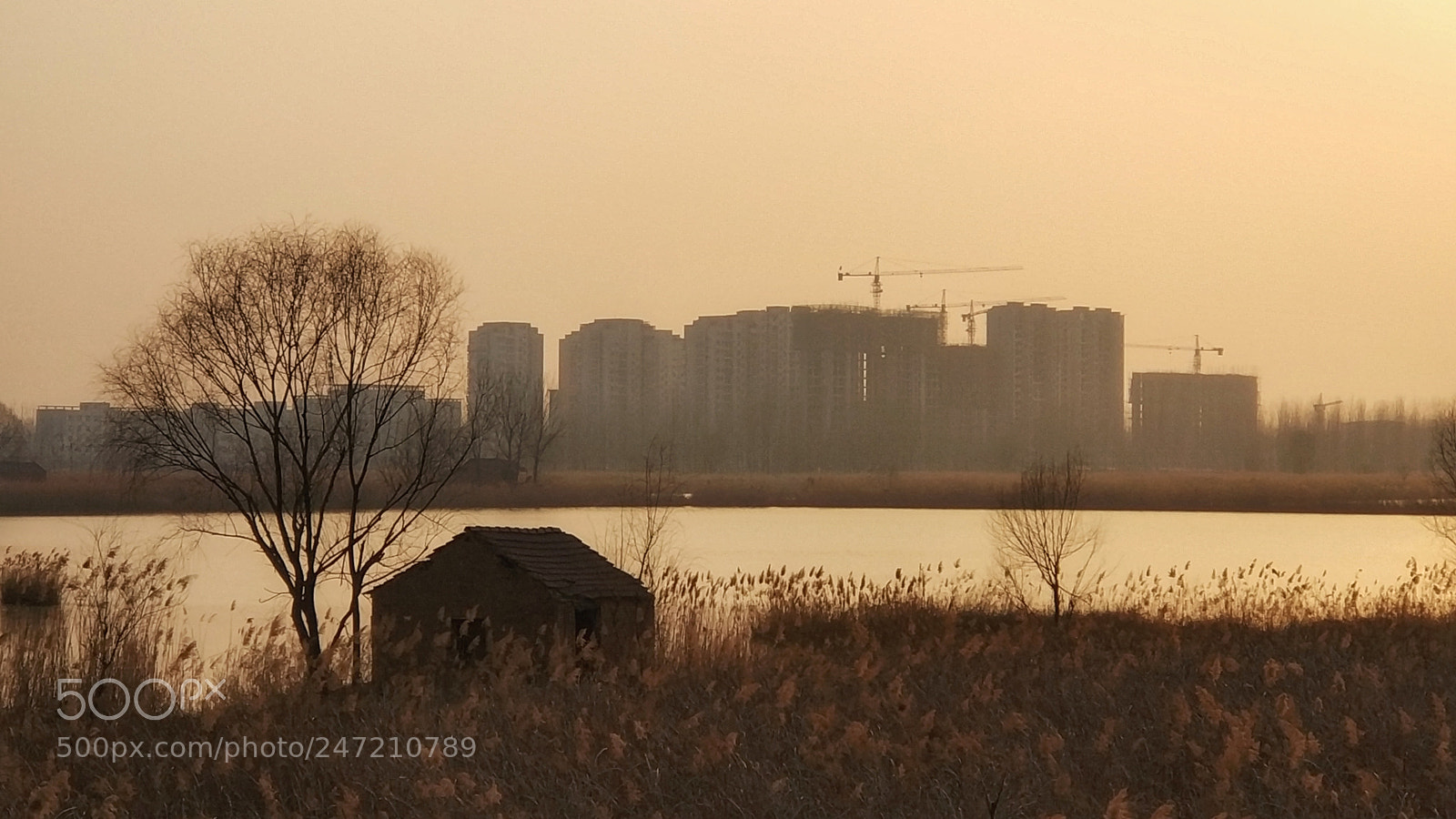 Xiaomi MI6 sample photo. Sundown photography