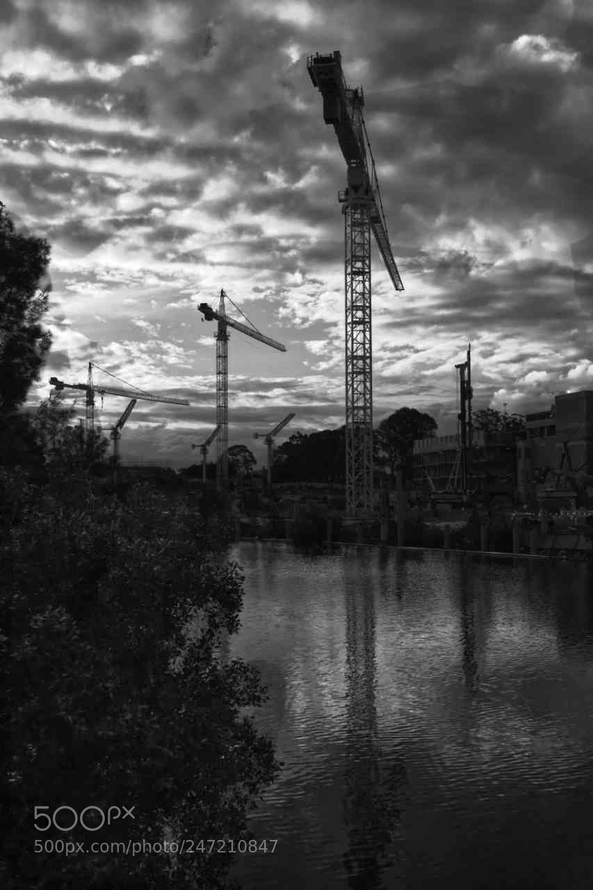 Canon EOS 7D Mark II sample photo. Construction cranes against a photography