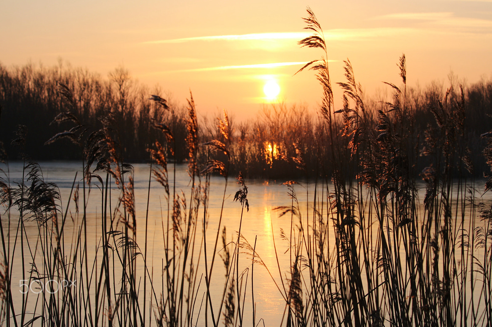 Canon EF-S 55-250mm F4-5.6 IS STM sample photo. Sunrise photography