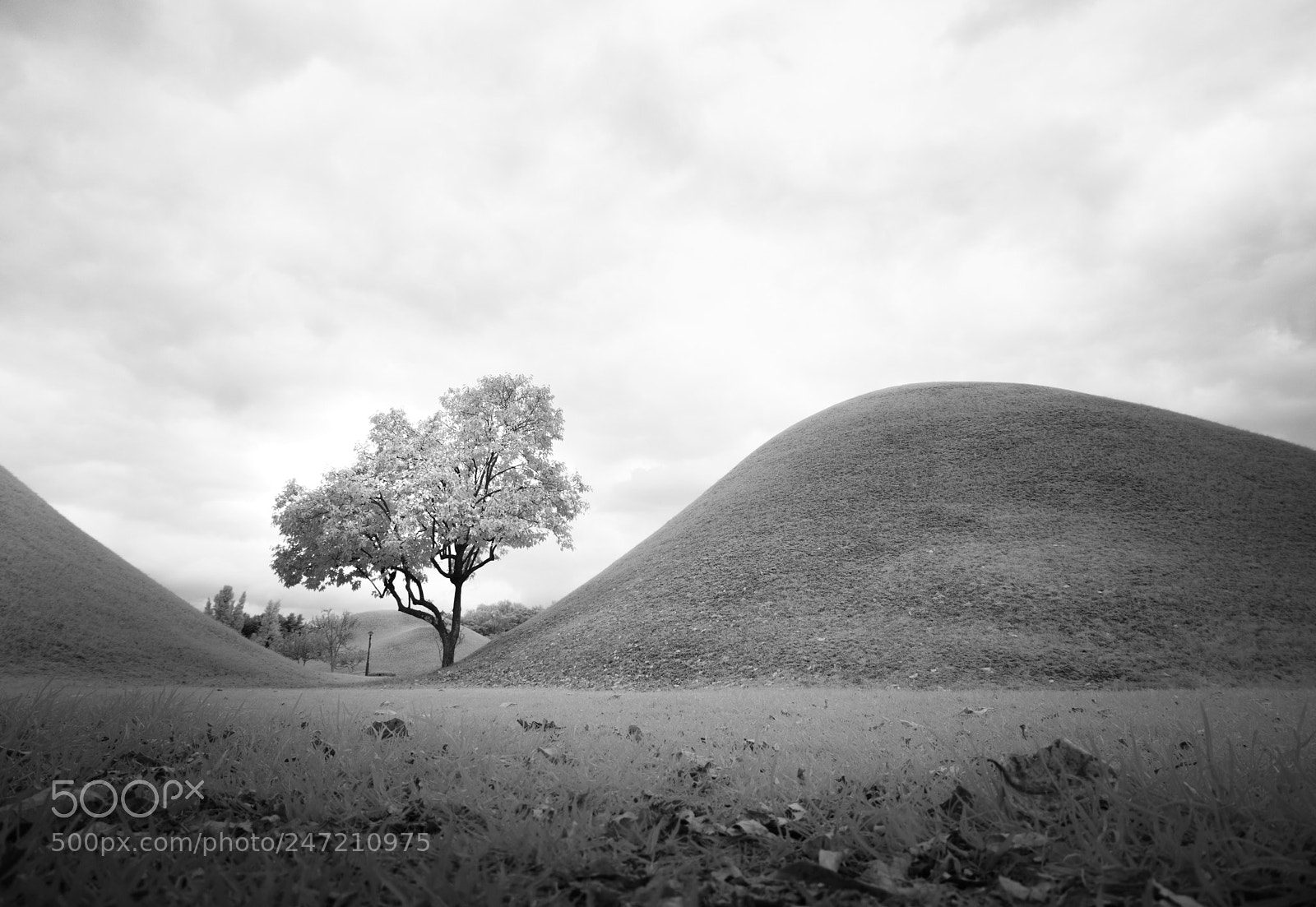 Sony Alpha NEX-7 sample photo. Rolling hills photography