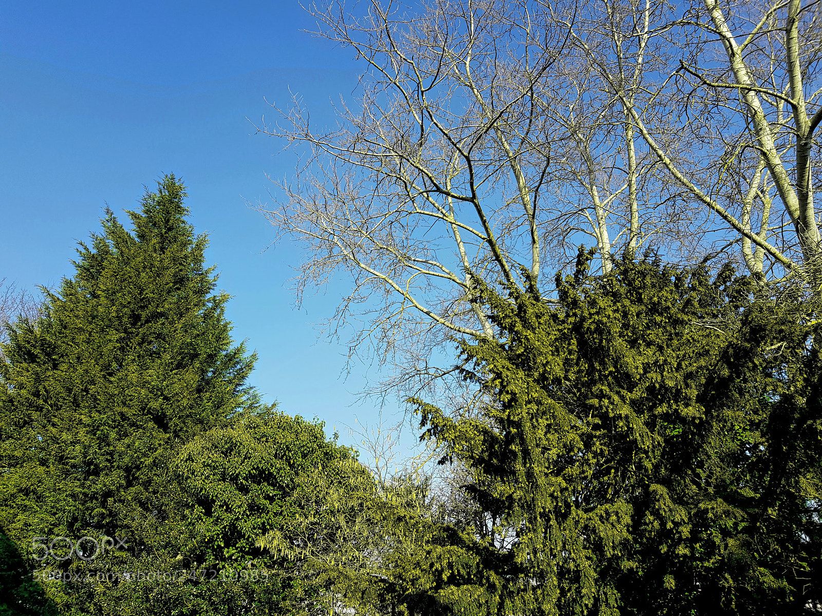 Samsung Galaxy S8 sample photo. Blue sky photography