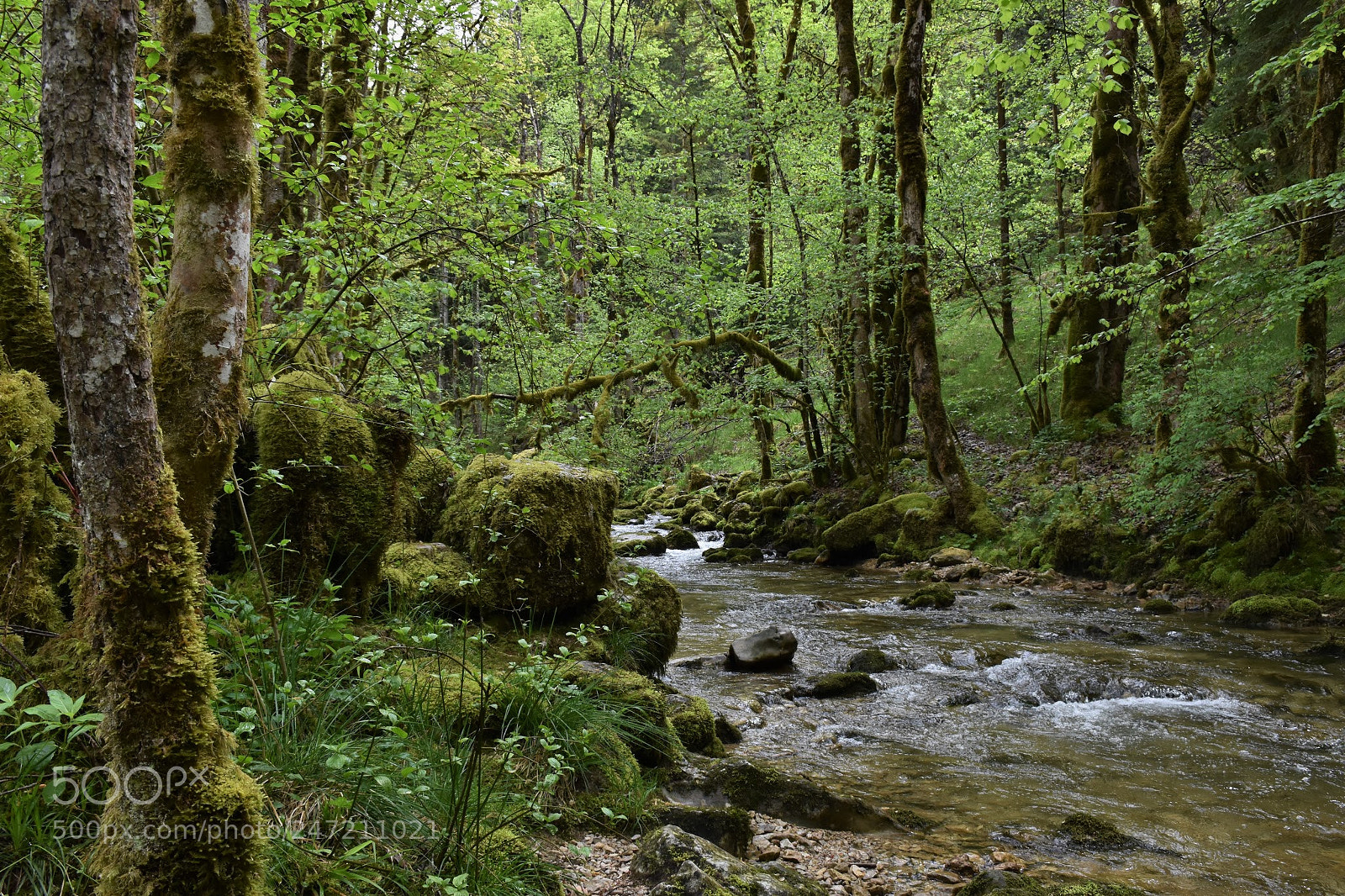 Nikon D7200 sample photo. Untitled photography