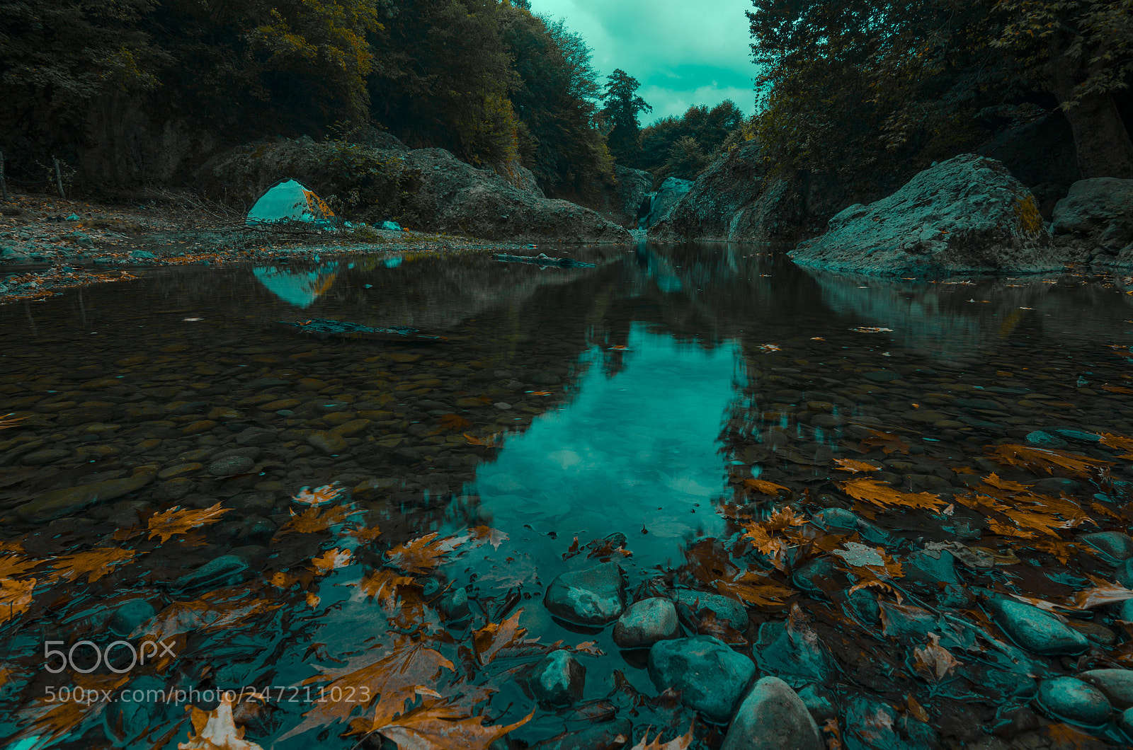 Nikon D5100 sample photo. Camping photography