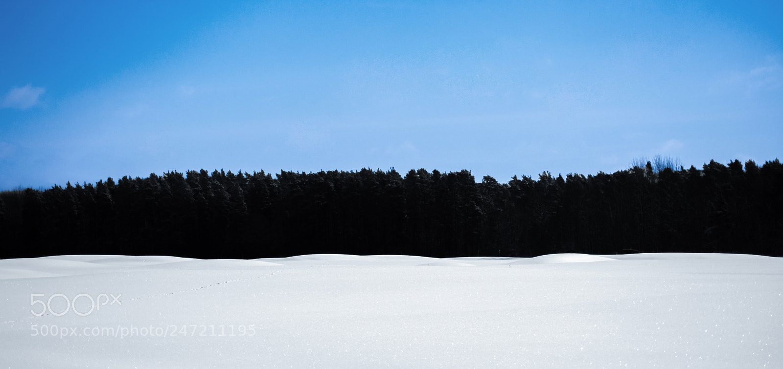 Nikon D7200 sample photo. Estonia 100 photography