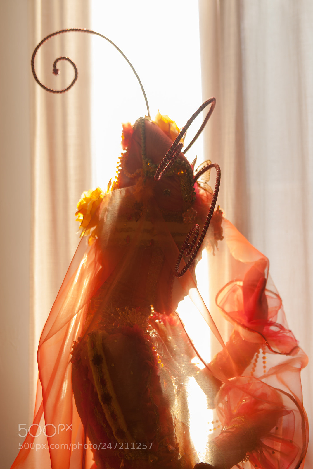 Nikon D200 sample photo. Venice carnival in front photography