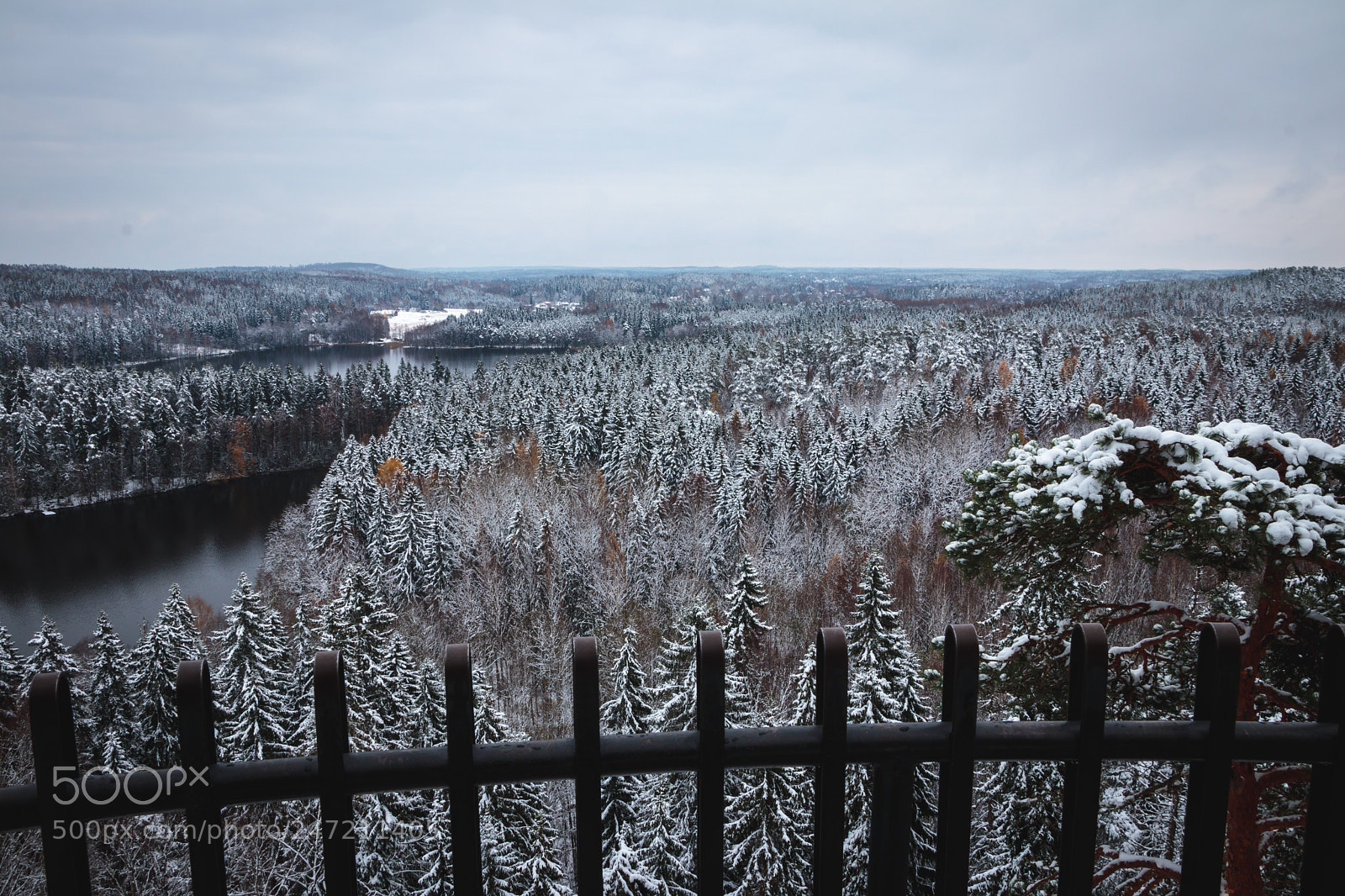 Canon EOS 80D sample photo. Winterscape photography