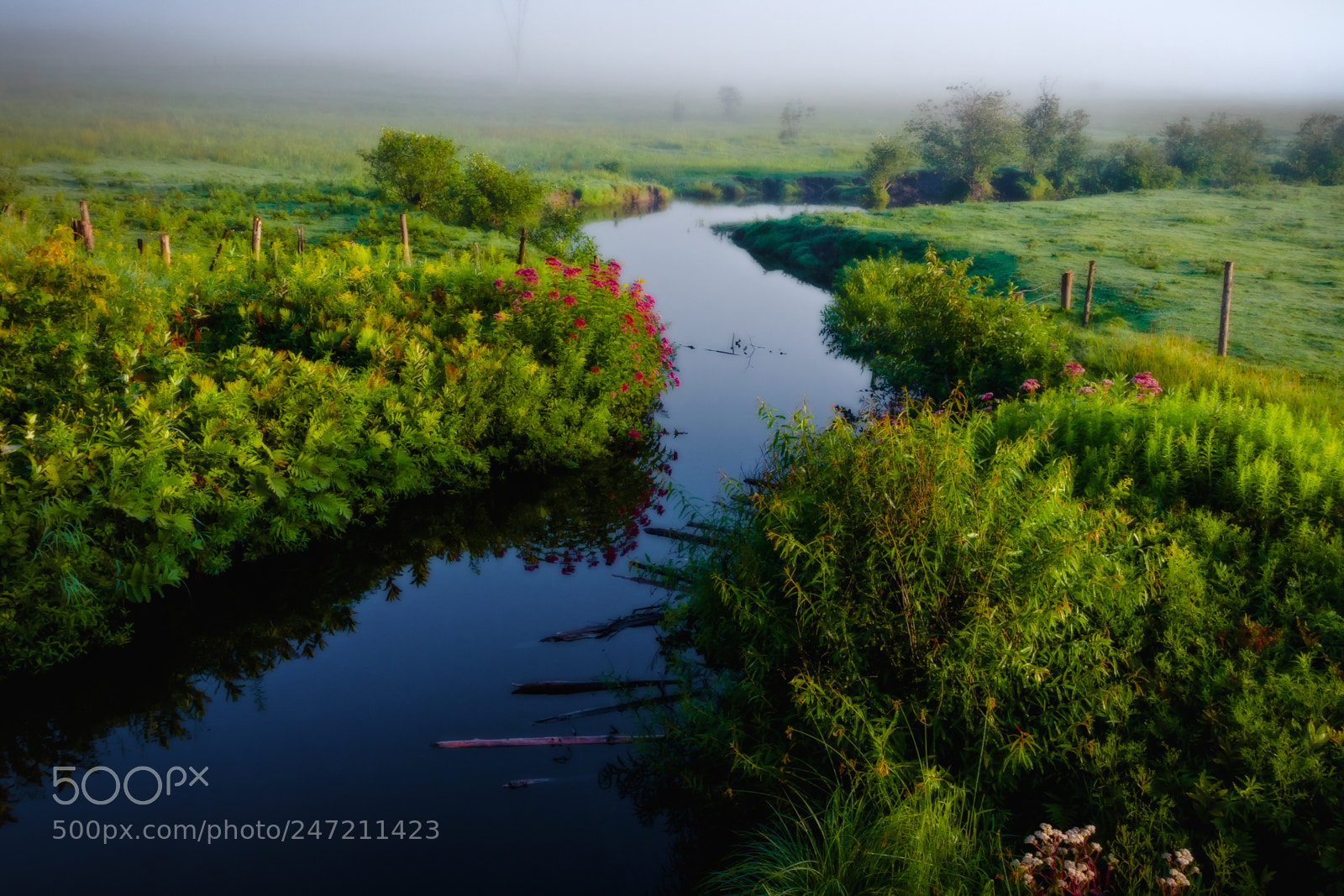 Canon EOS 7D sample photo. Early morning meadow stream photography