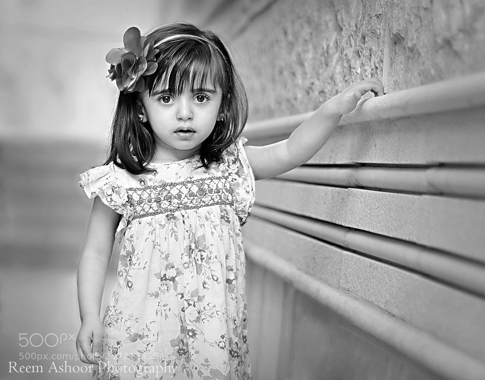 Nikon D90 sample photo. Untitled photography