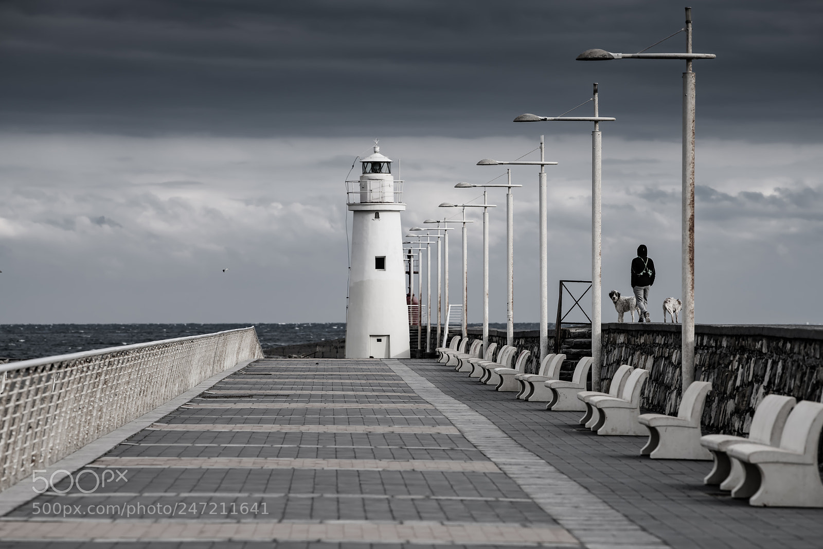 Nikon D850 sample photo. Walking on the pier.jpg photography