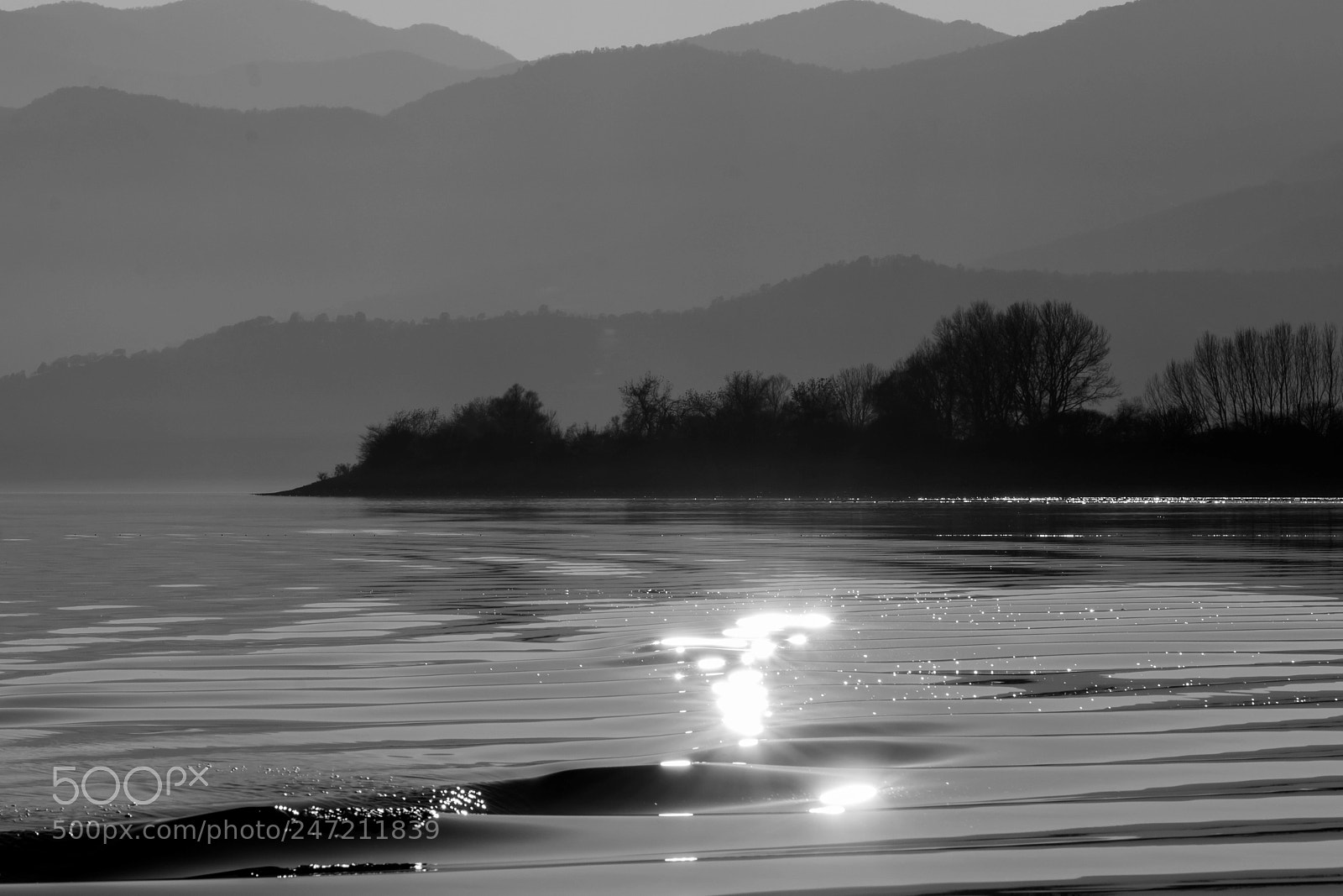 Nikon D7100 sample photo. Shimmering photography