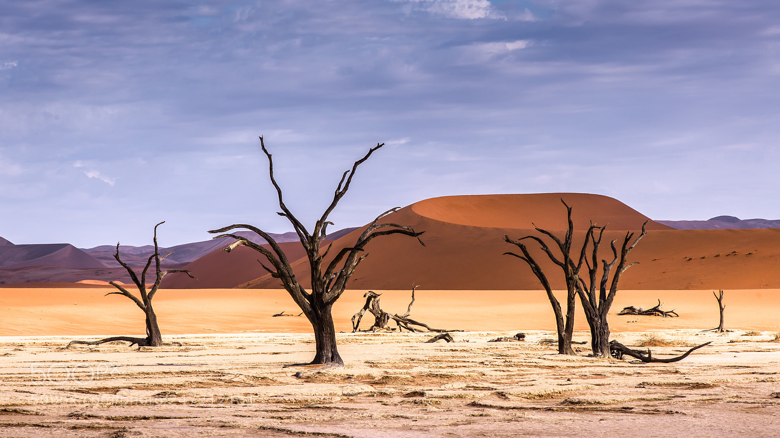 Nikon D810 sample photo. Sands of time x photography