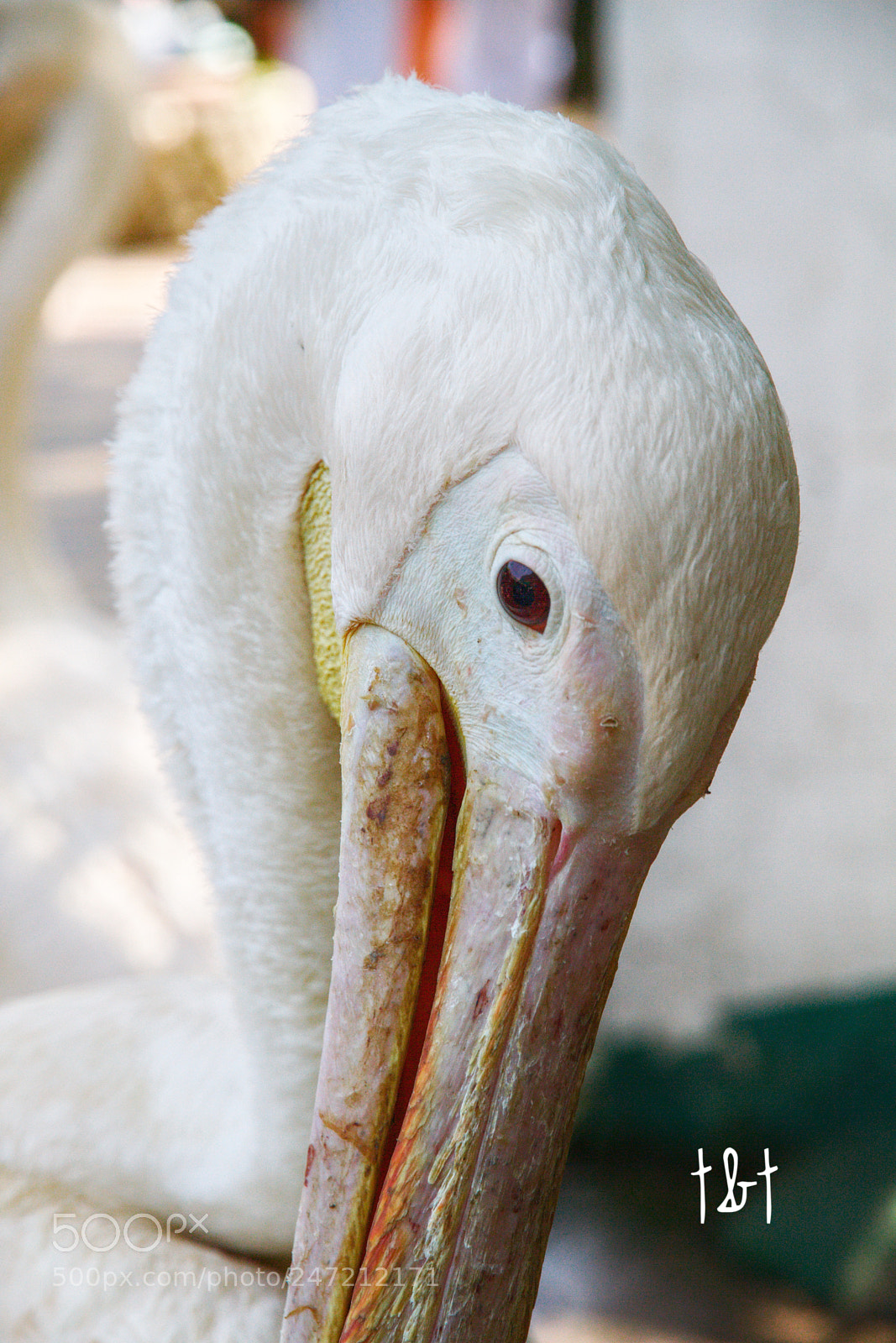 Canon EOS 7D sample photo. Untitled photography