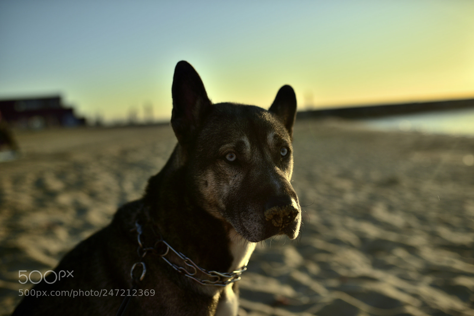 Sigma 35mm F1.4 DG HSM Art sample photo. Dsc photography